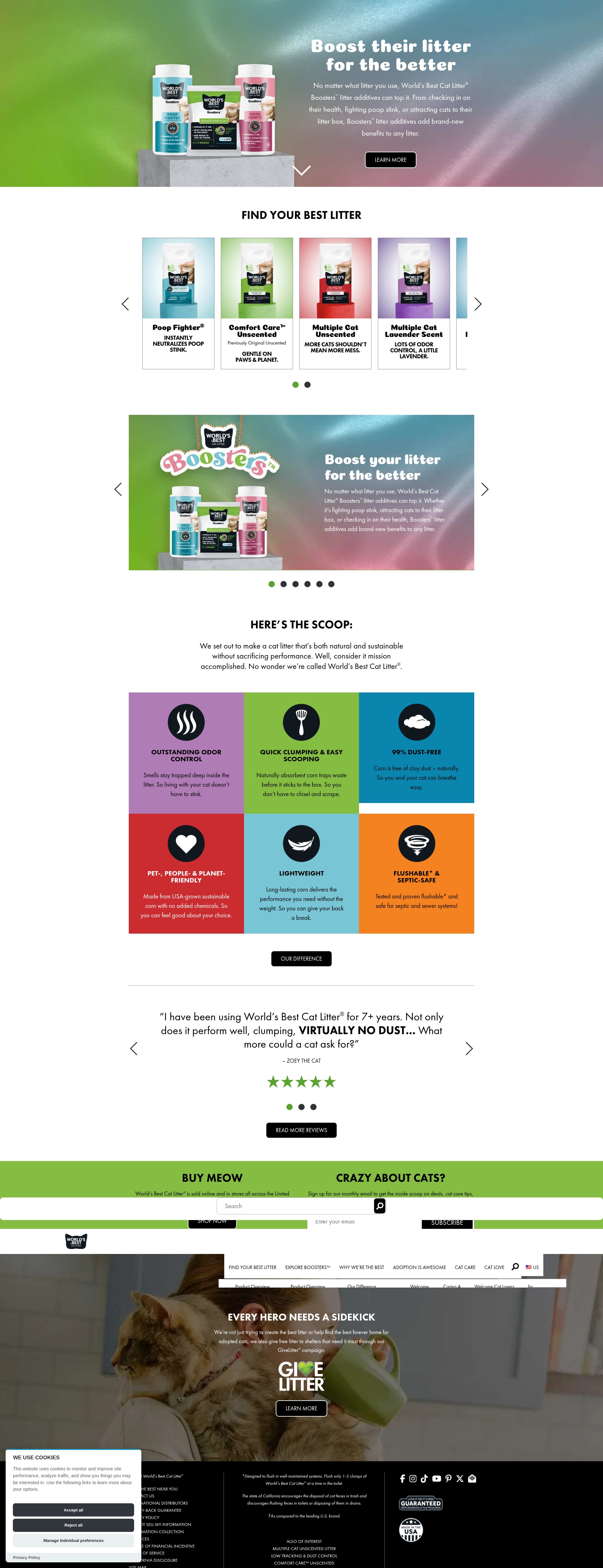 Screenshot of worldsbestcatlitter.com