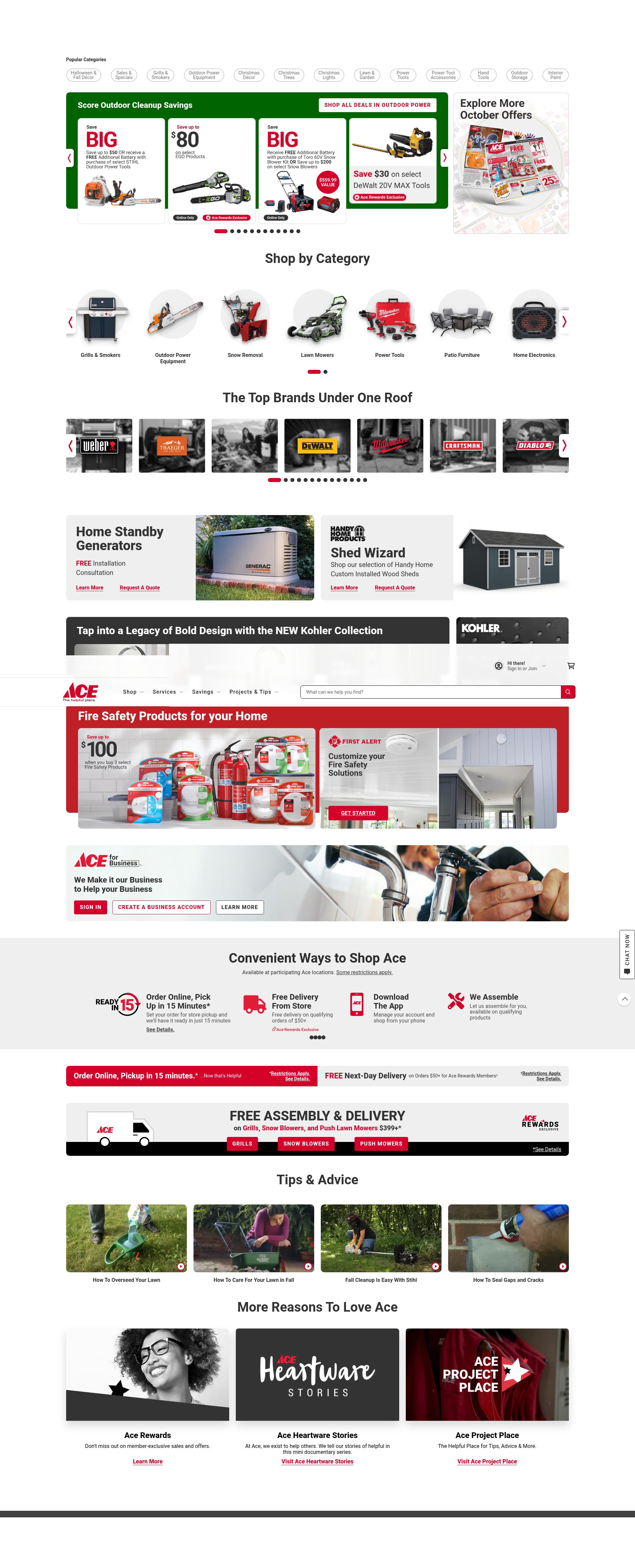 Screenshot of www.acehardware.com