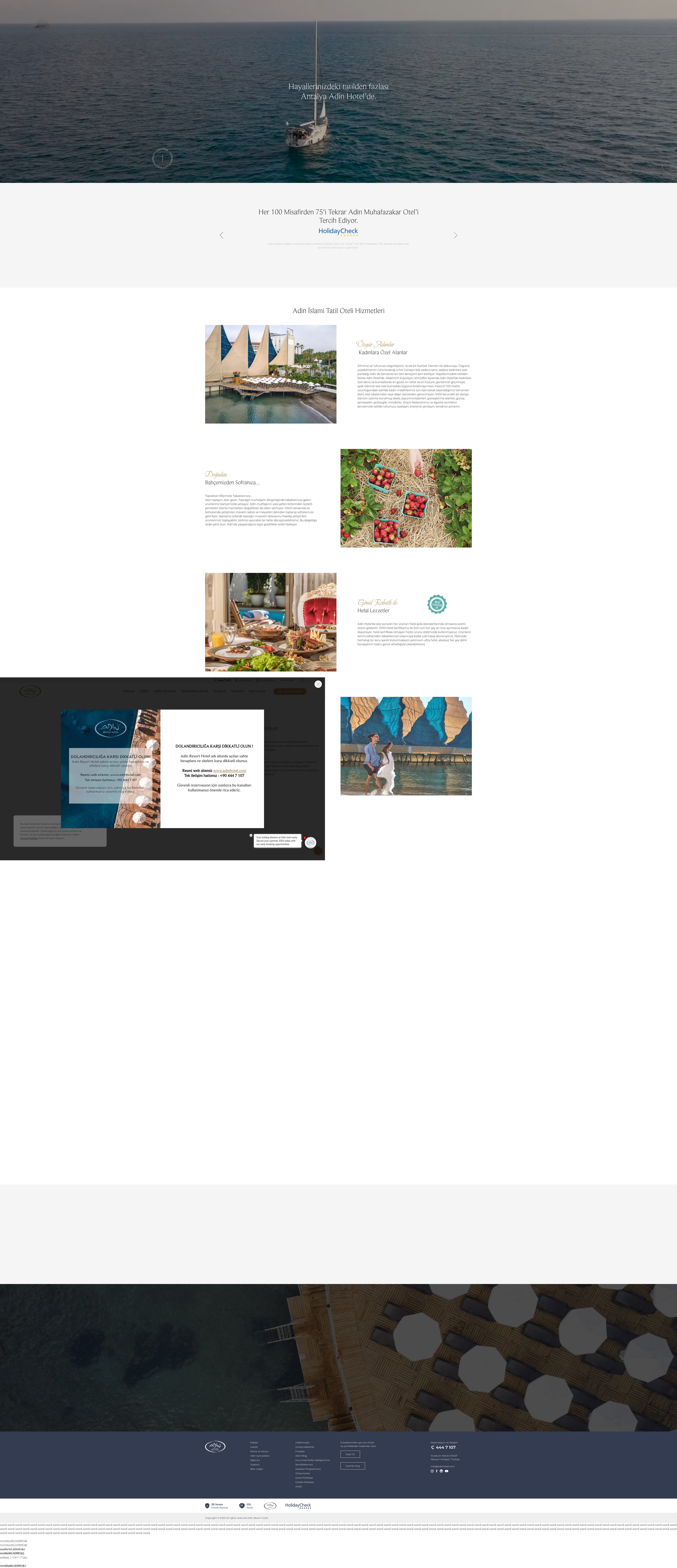 Screenshot of www.adinhotel.com