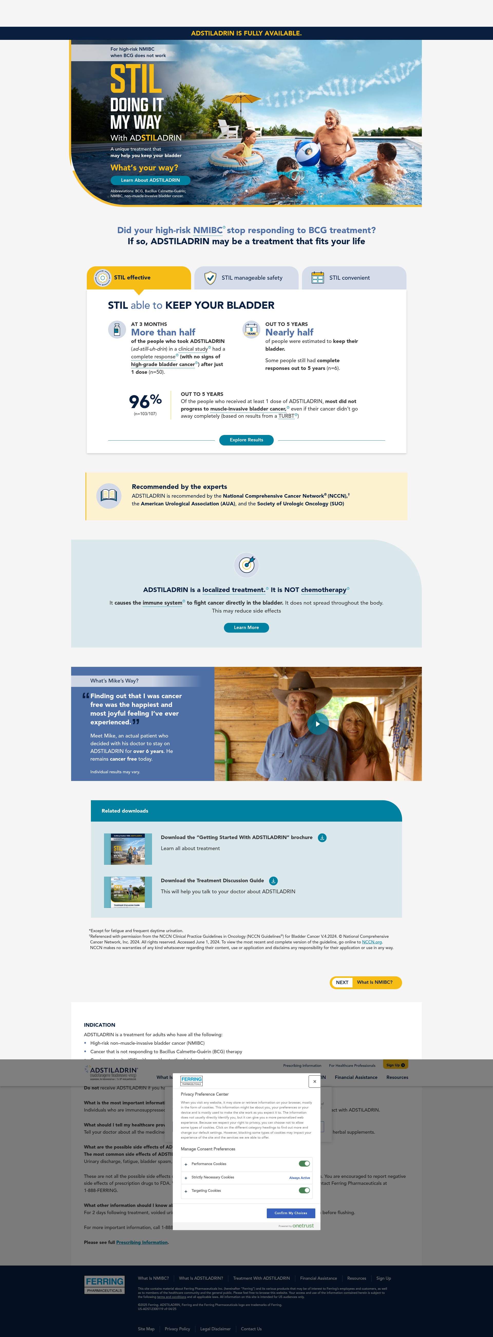 Screenshot of www.adstiladrin.com