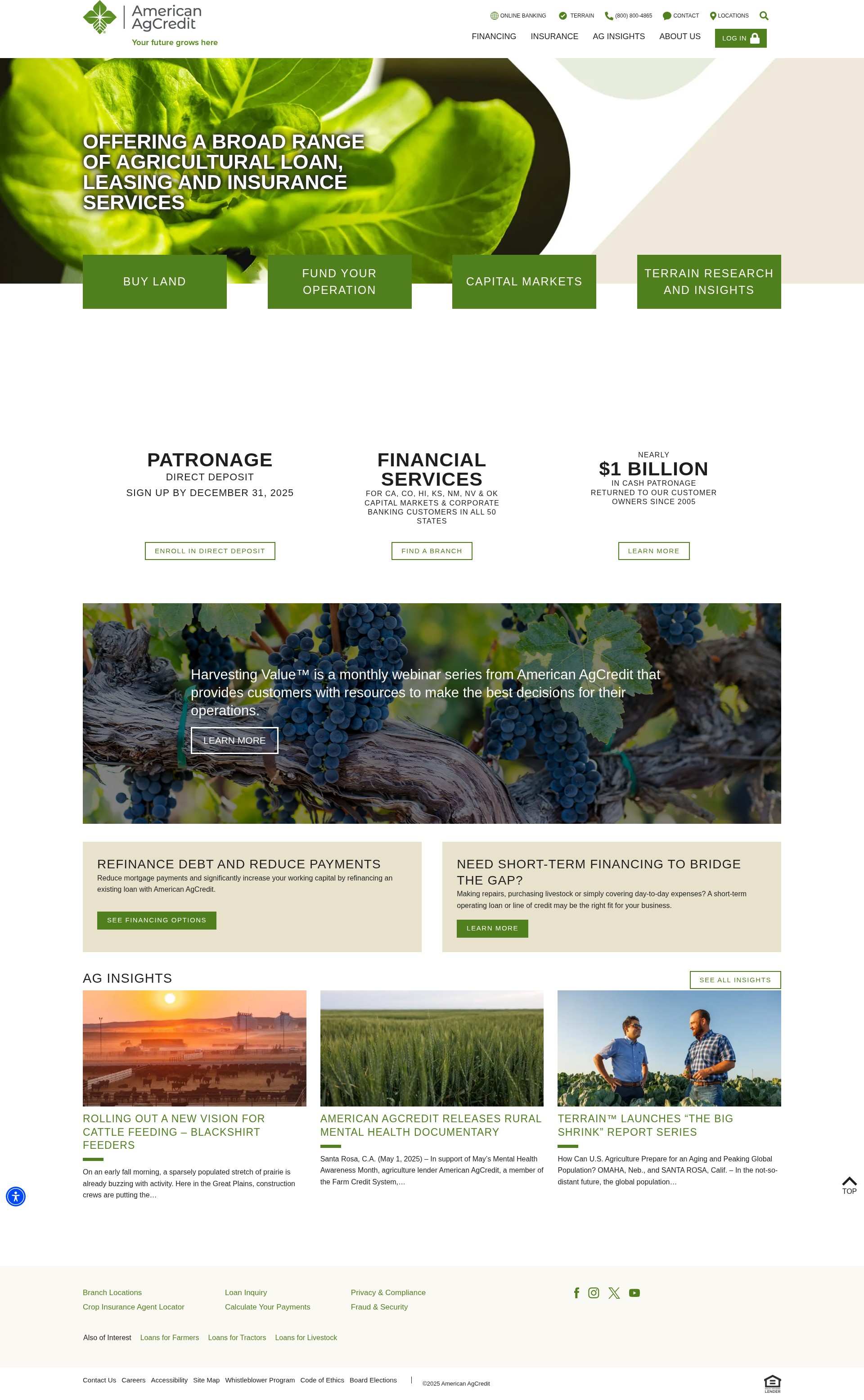Screenshot of www.agloan.com
