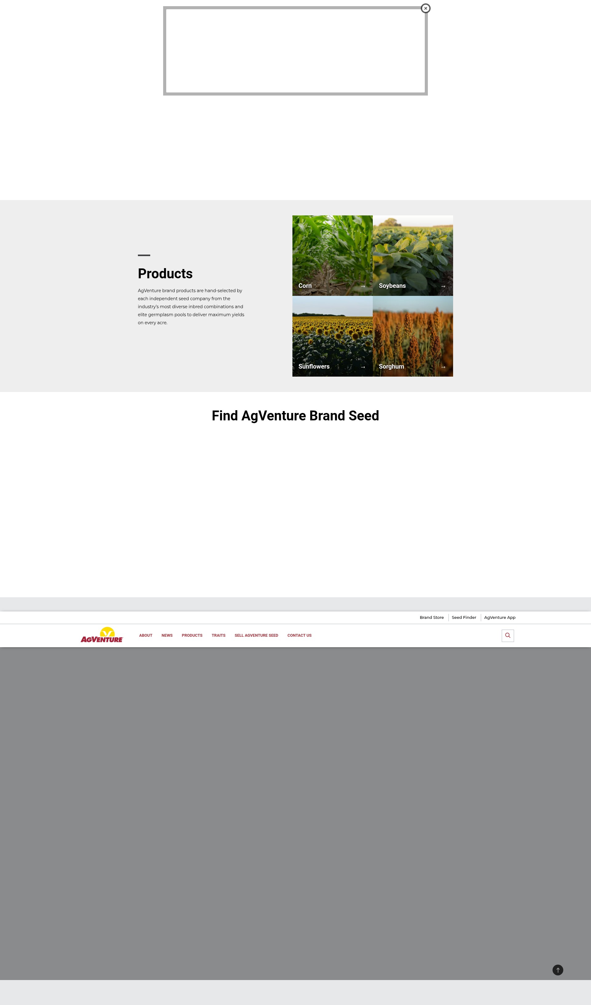 Screenshot of www.agventure.com