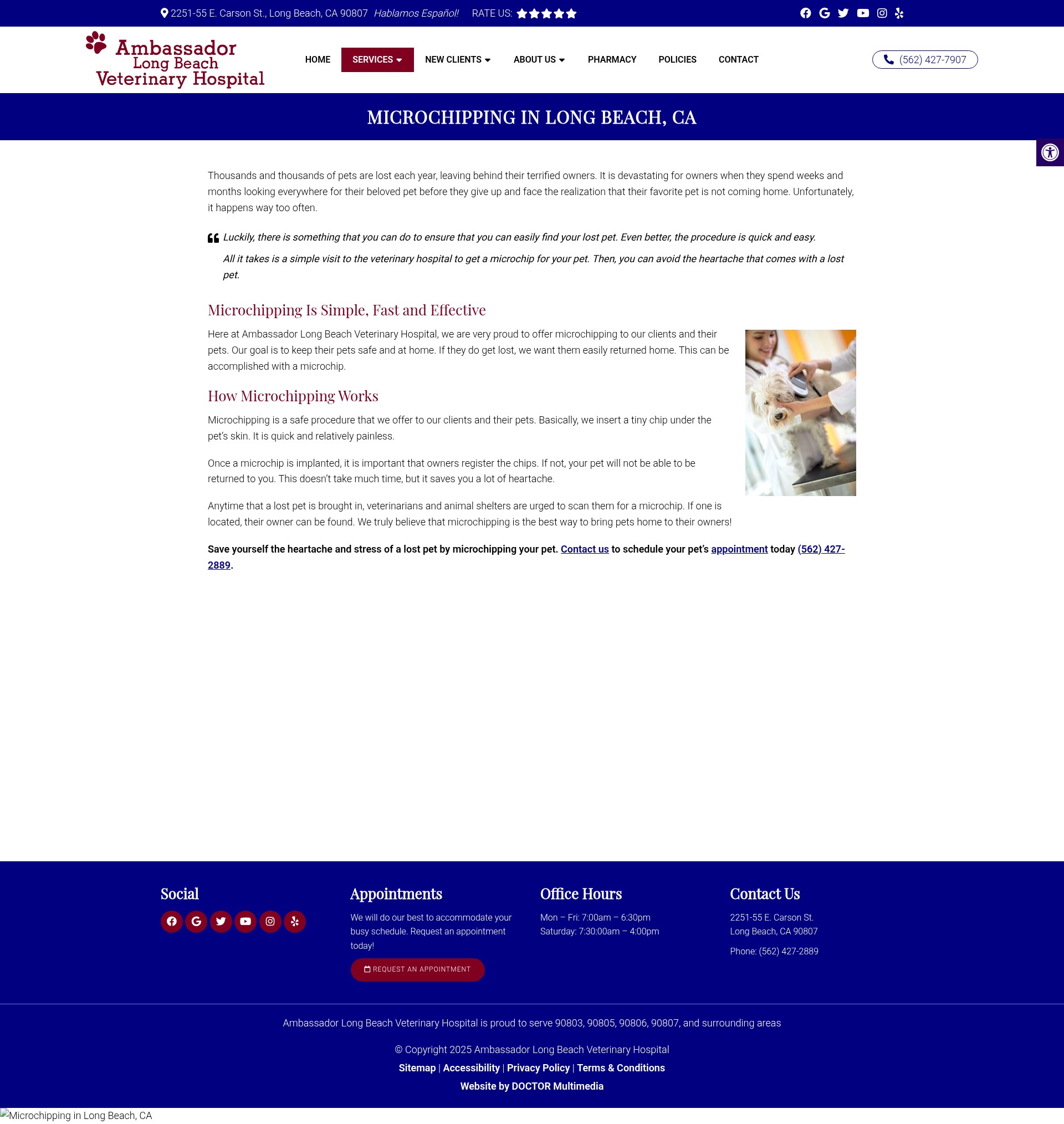 Screenshot of www.ambassadorvetca.com