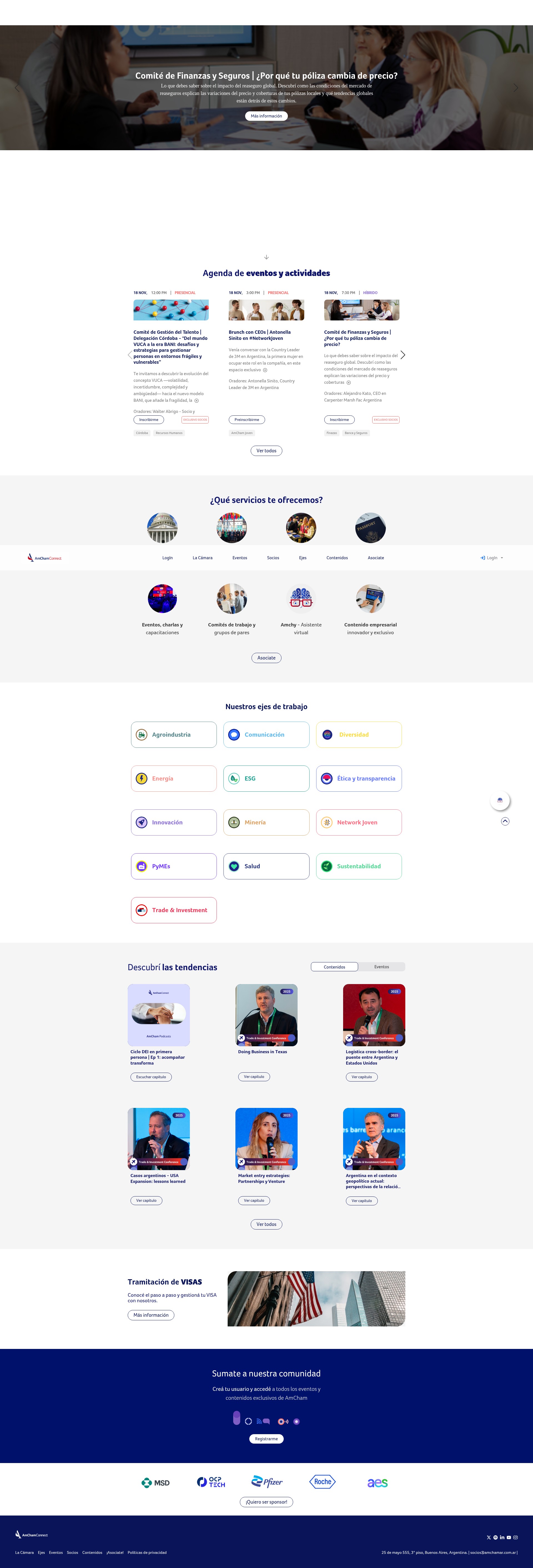 Screenshot of www.amcham.com.ar