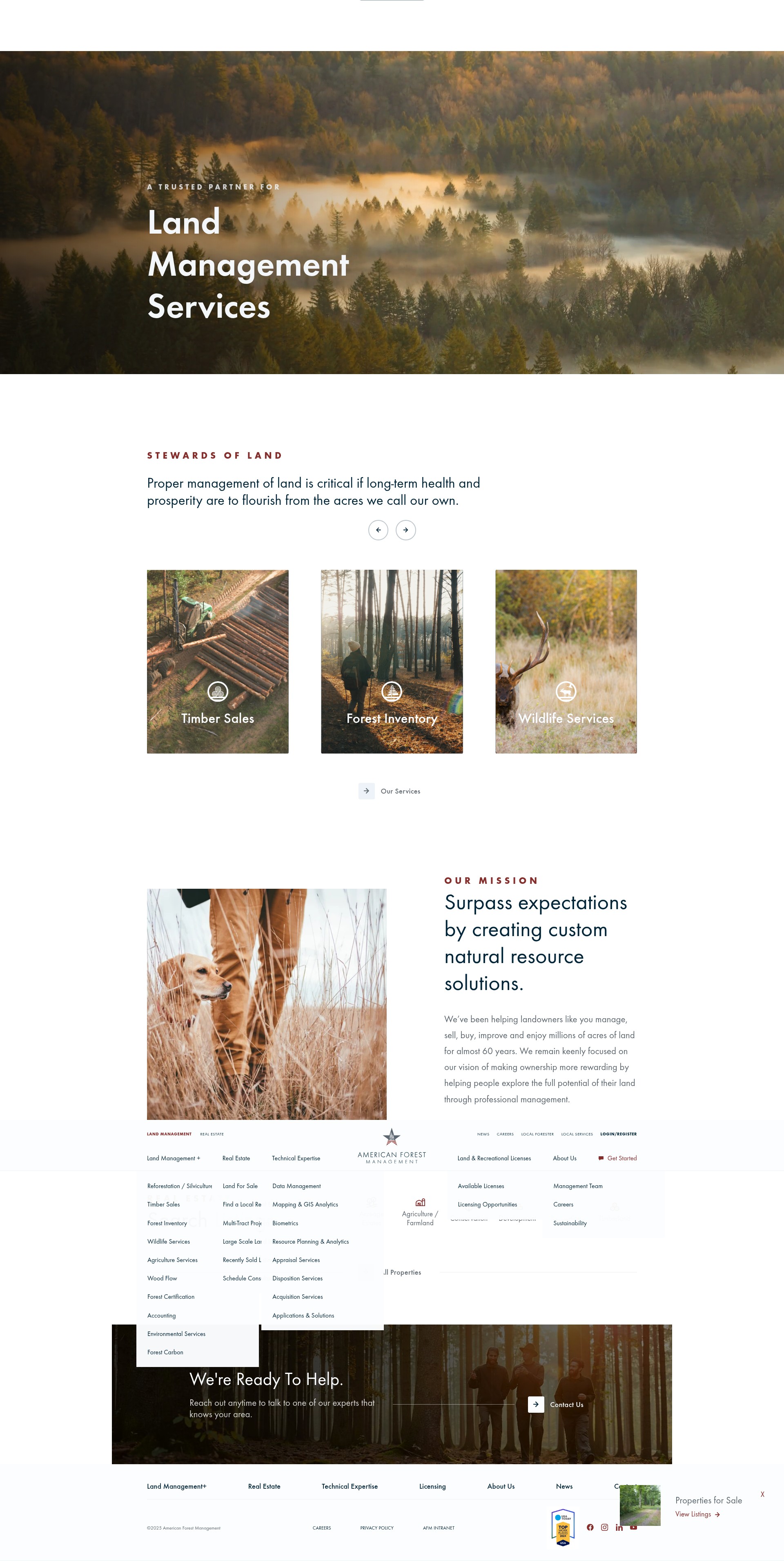 Screenshot of www.americanforestmanagement.com