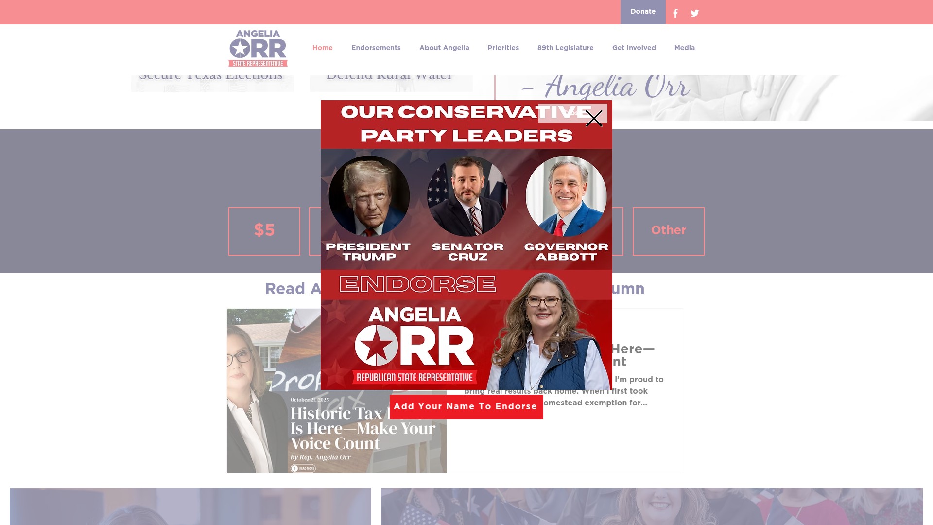 Screenshot of www.angeliaorr.com