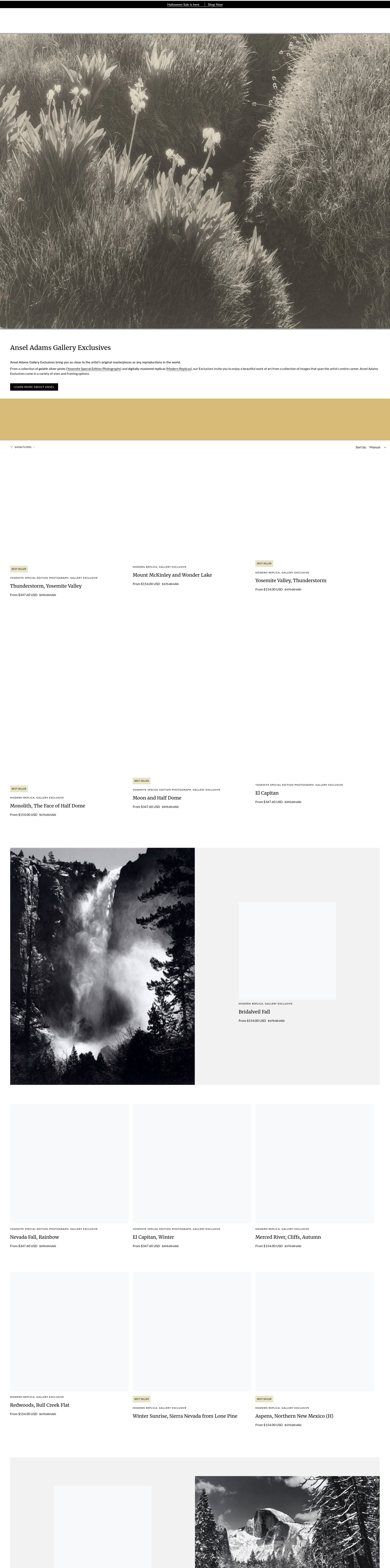 Screenshot of www.anseladams.com