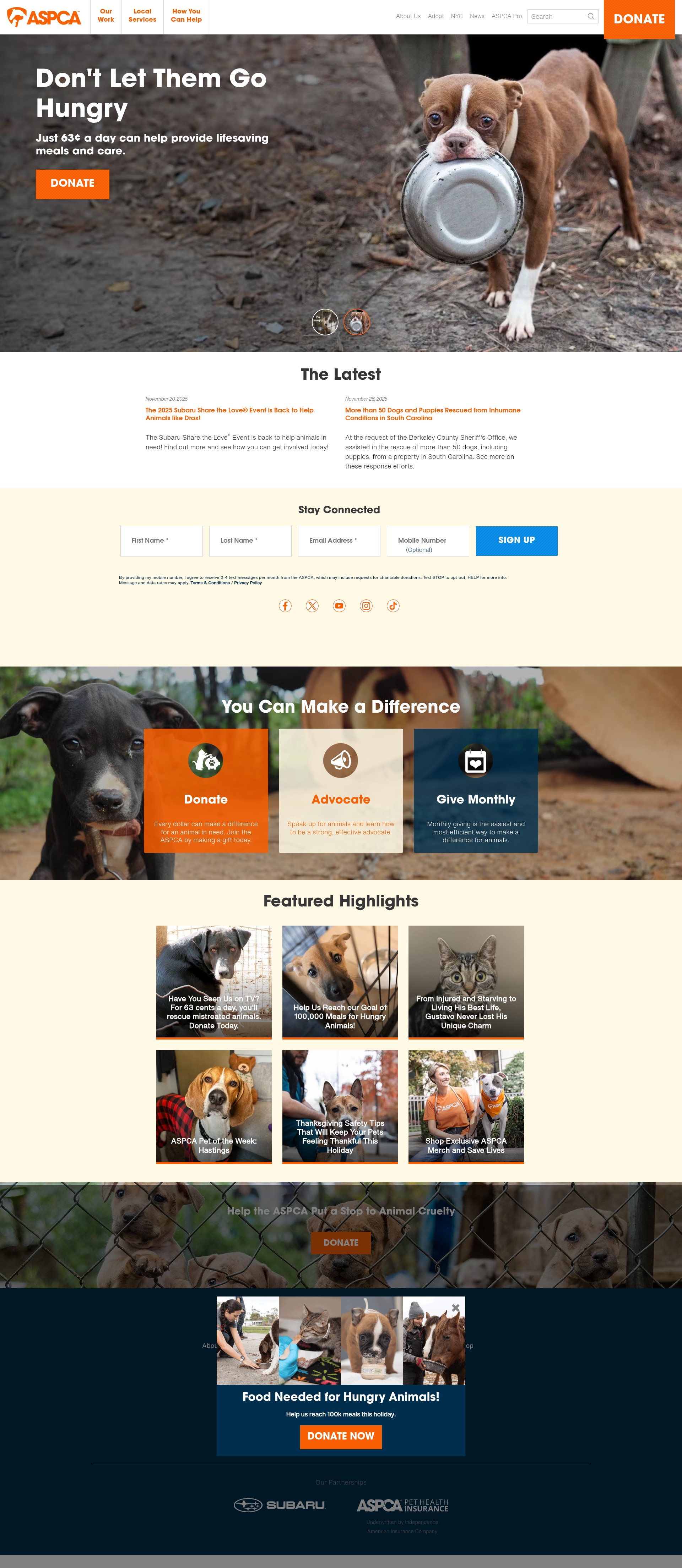 Screenshot of www.aspca.org