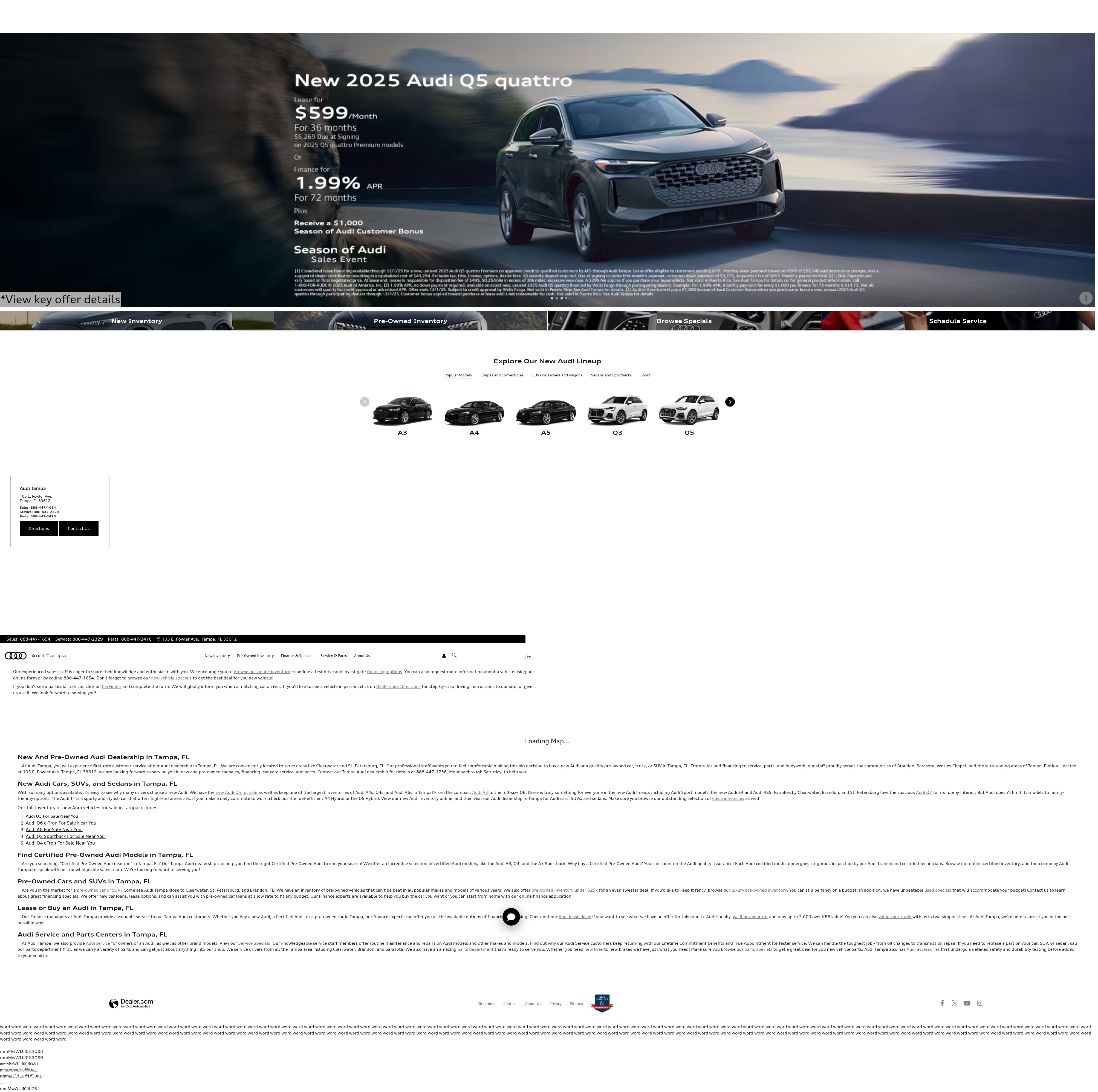 Screenshot of www.auditampa.com