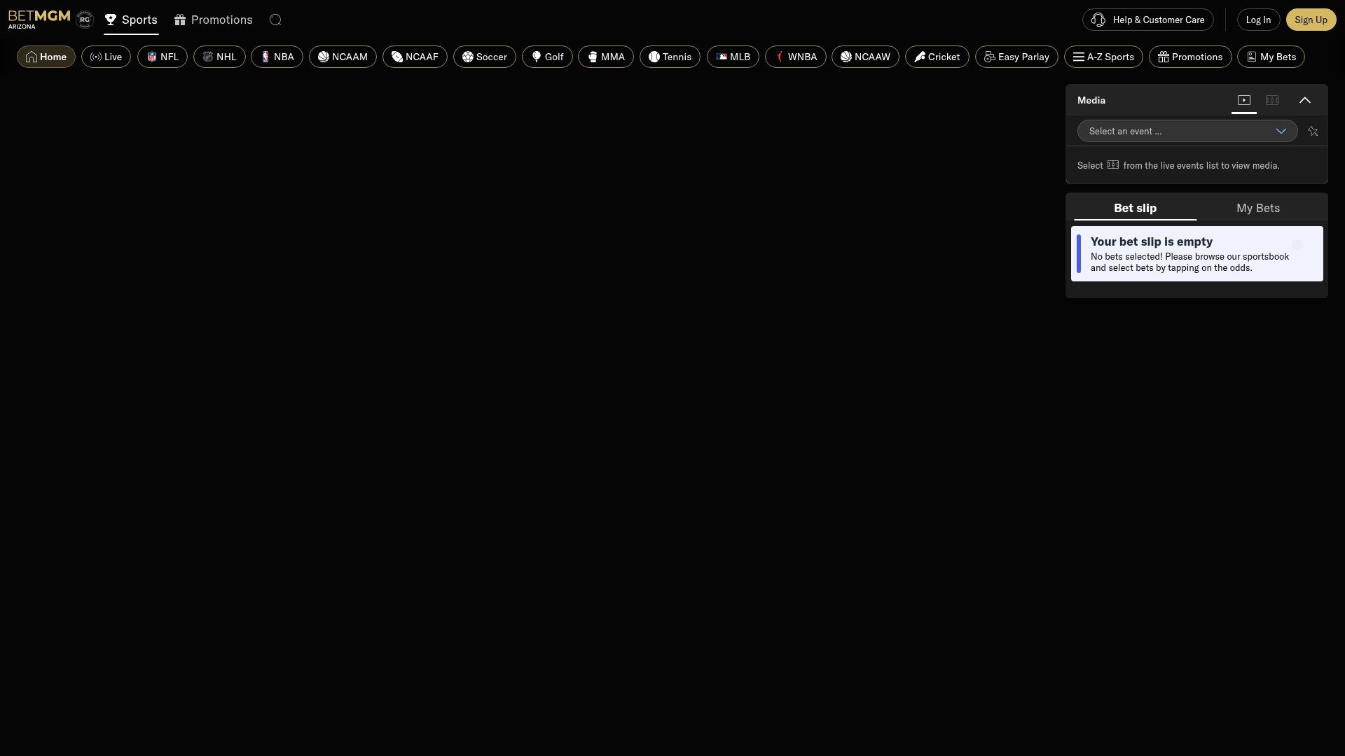 Screenshot of www.az.betmgm.com