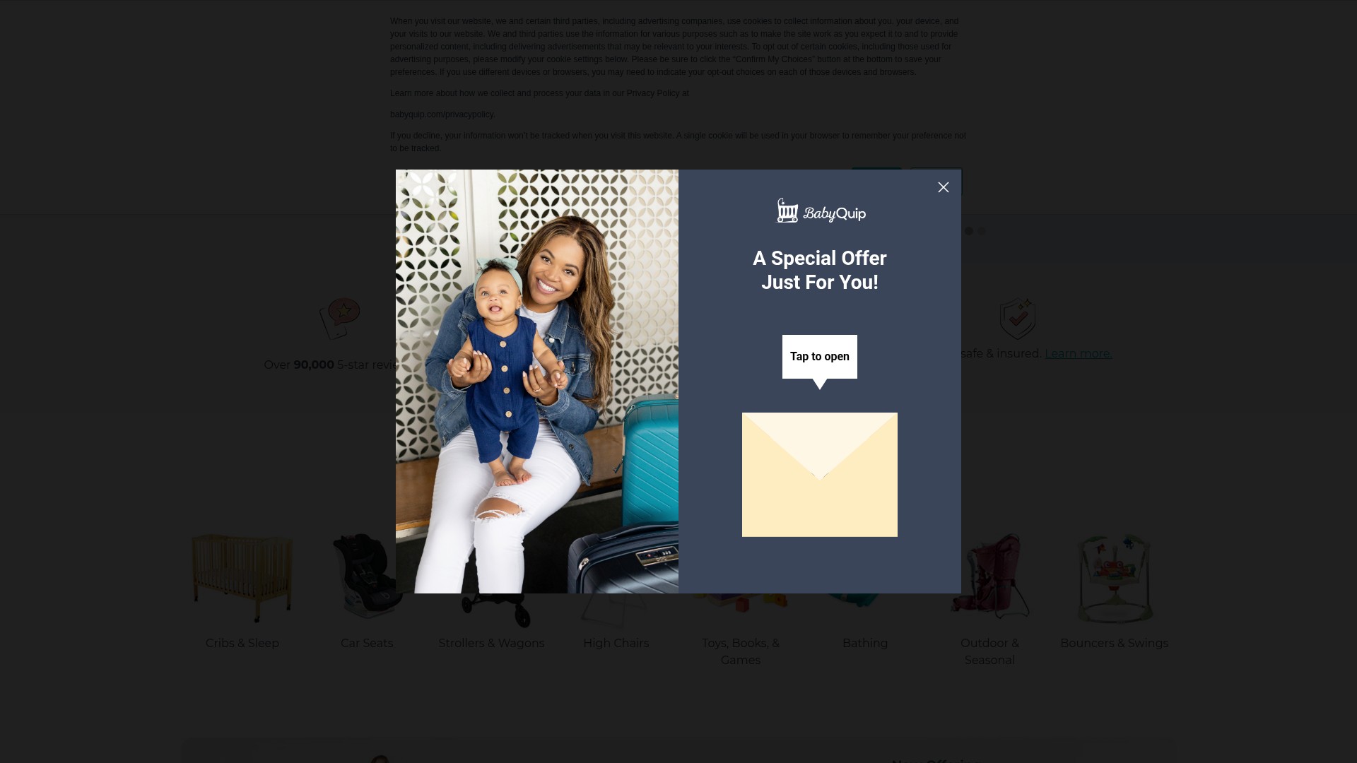Screenshot of www.babyquip.com