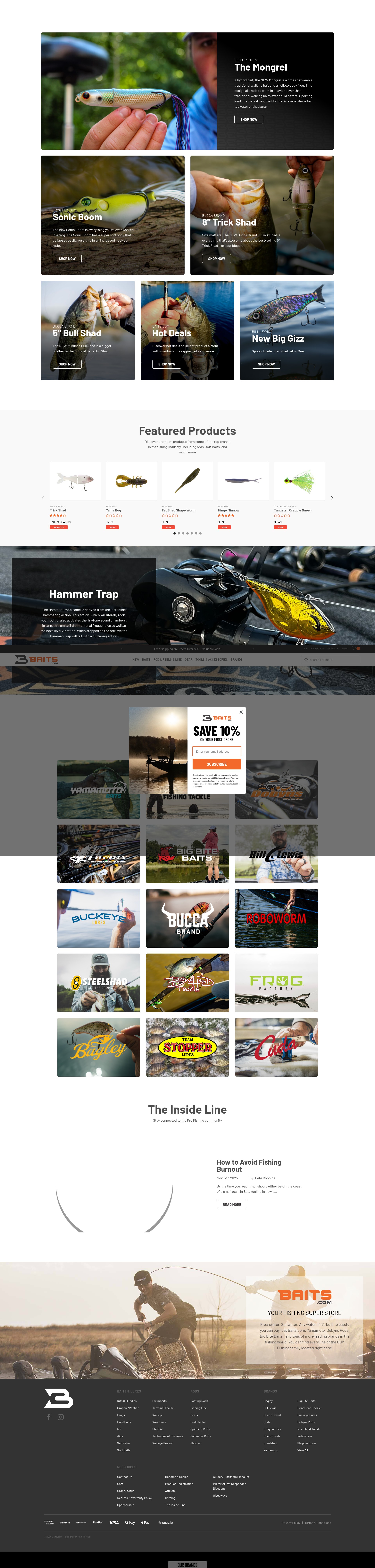 Screenshot of www.baits.com