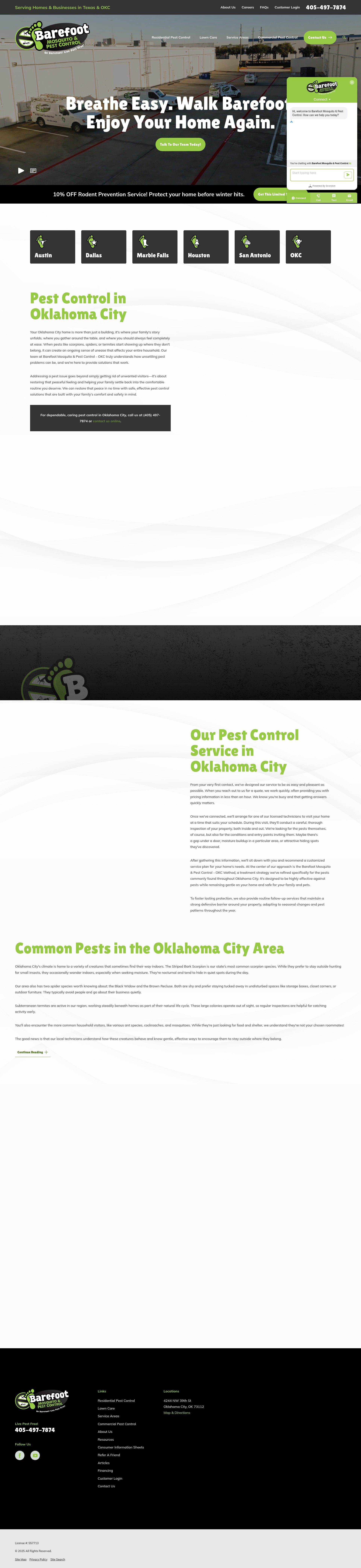 Screenshot of www.barefootmosquito.com