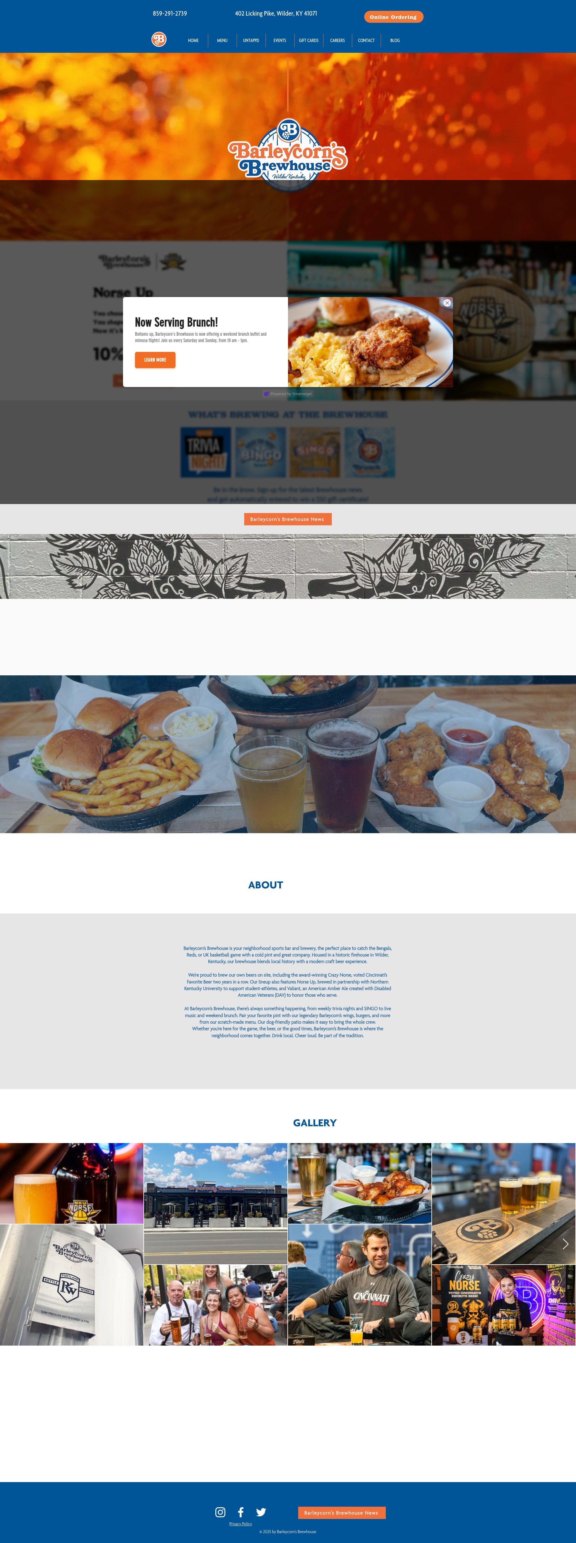Screenshot of www.barleycornsbrewhouse.com