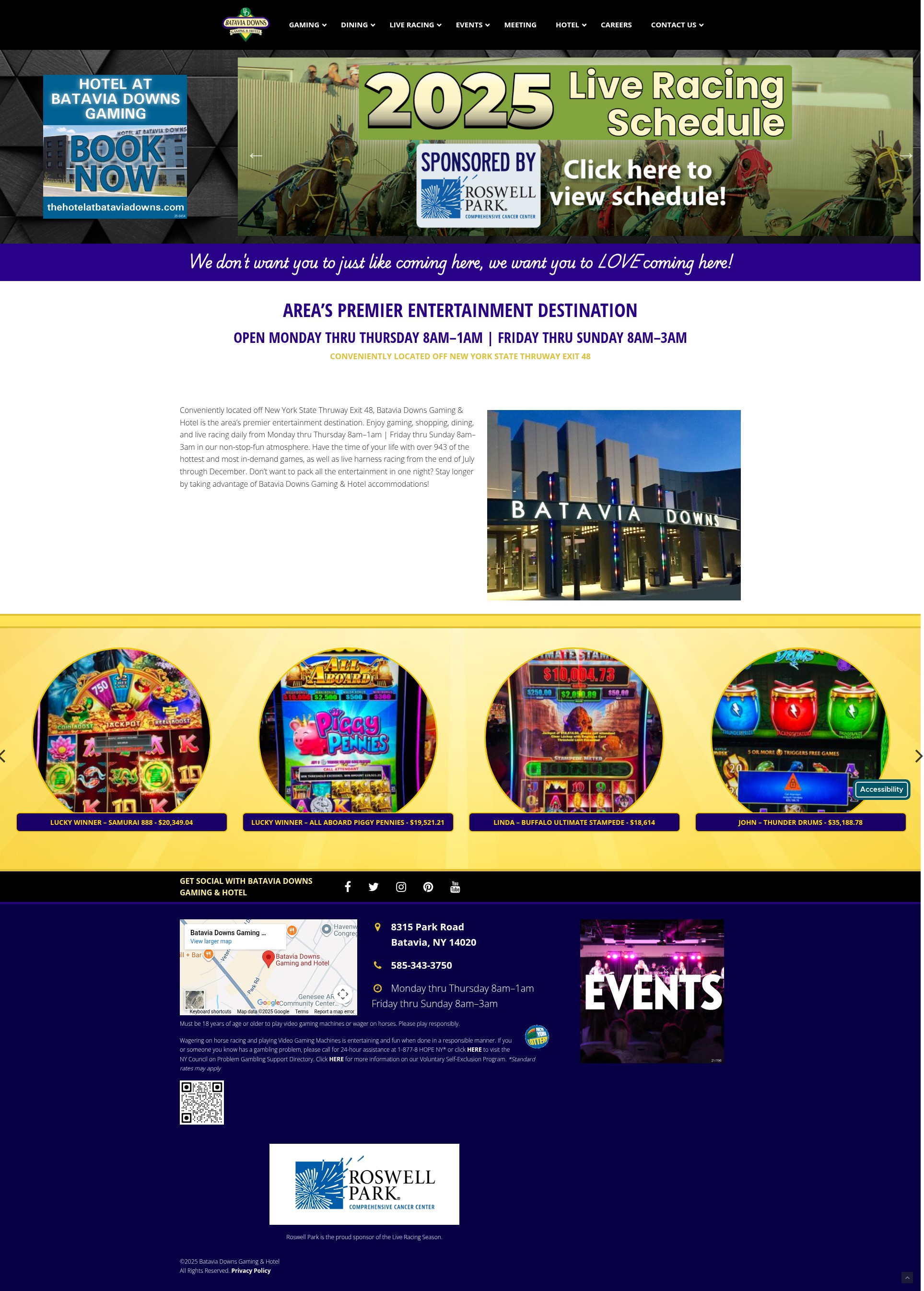 Screenshot of www.bataviadownsgaming.com