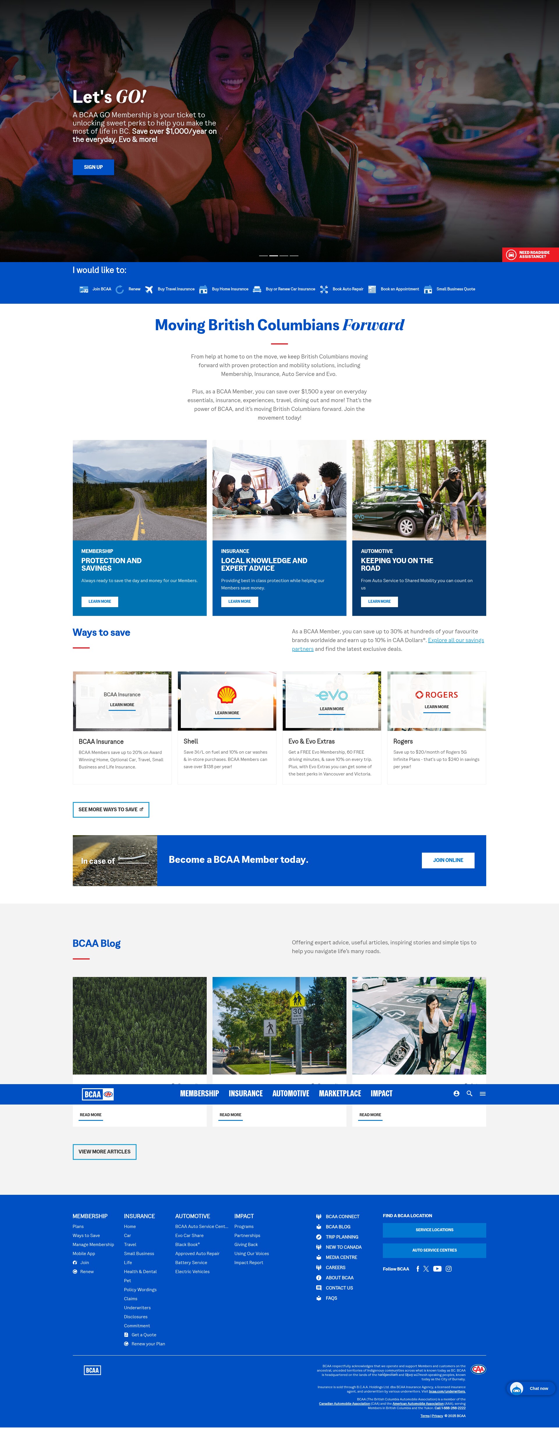 Screenshot of www.bcaa.com