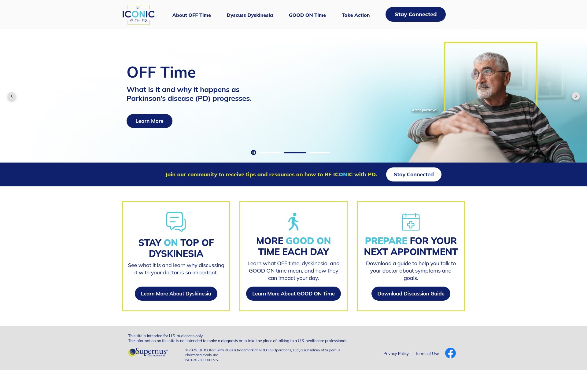 Screenshot of www.beiconicwithpd.com