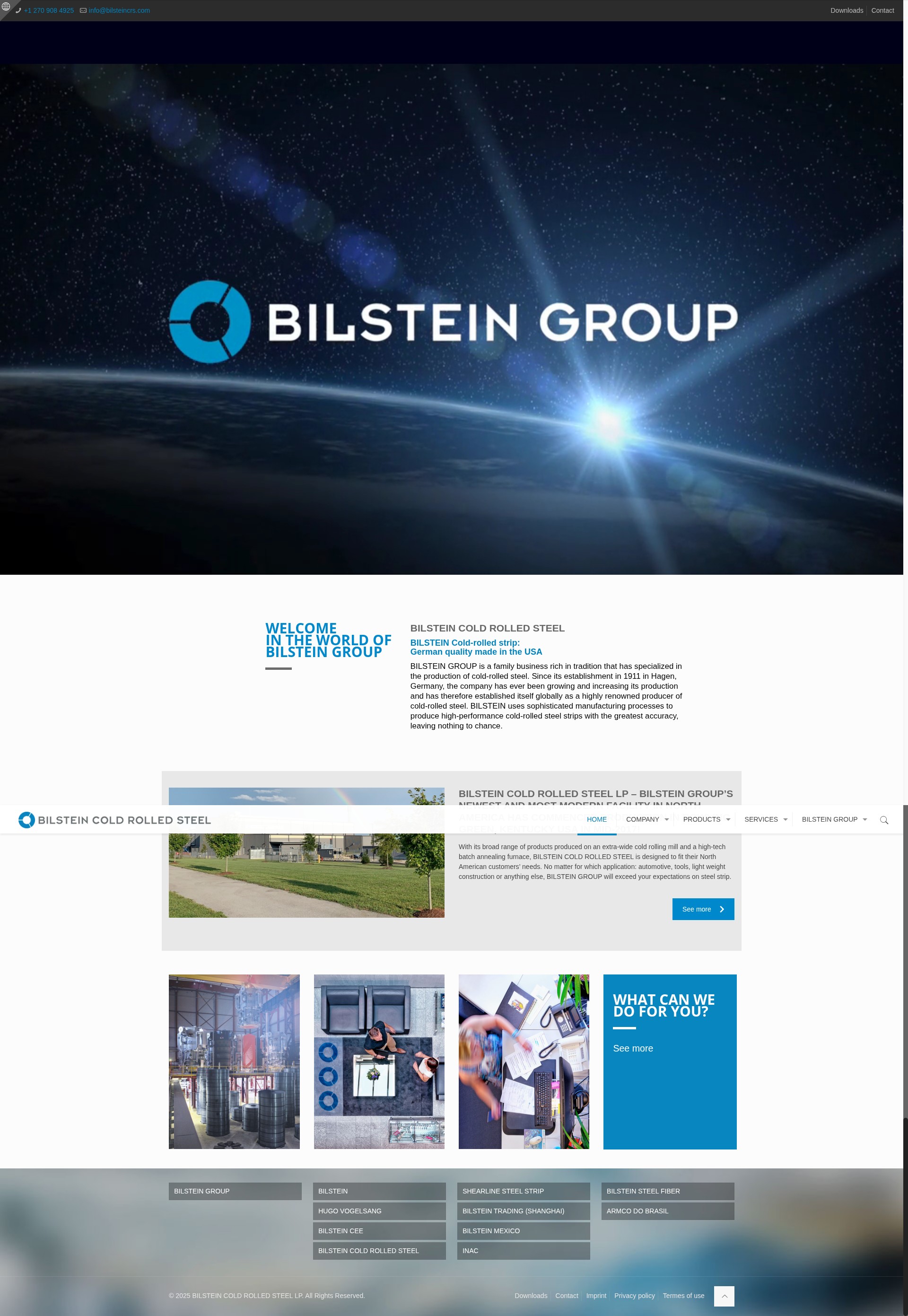 Screenshot of www.bilsteincrs.com