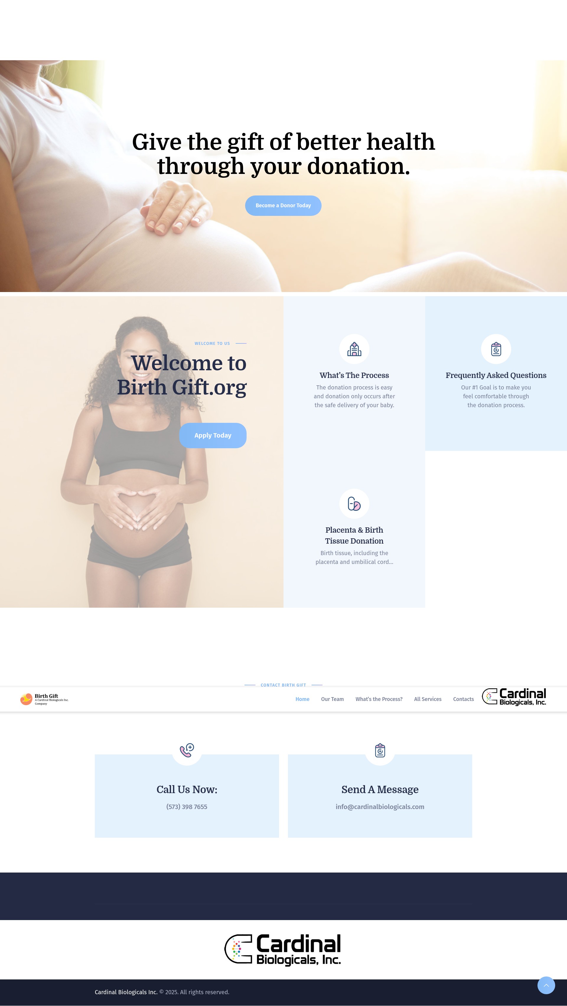 Screenshot of www.birthgift.org