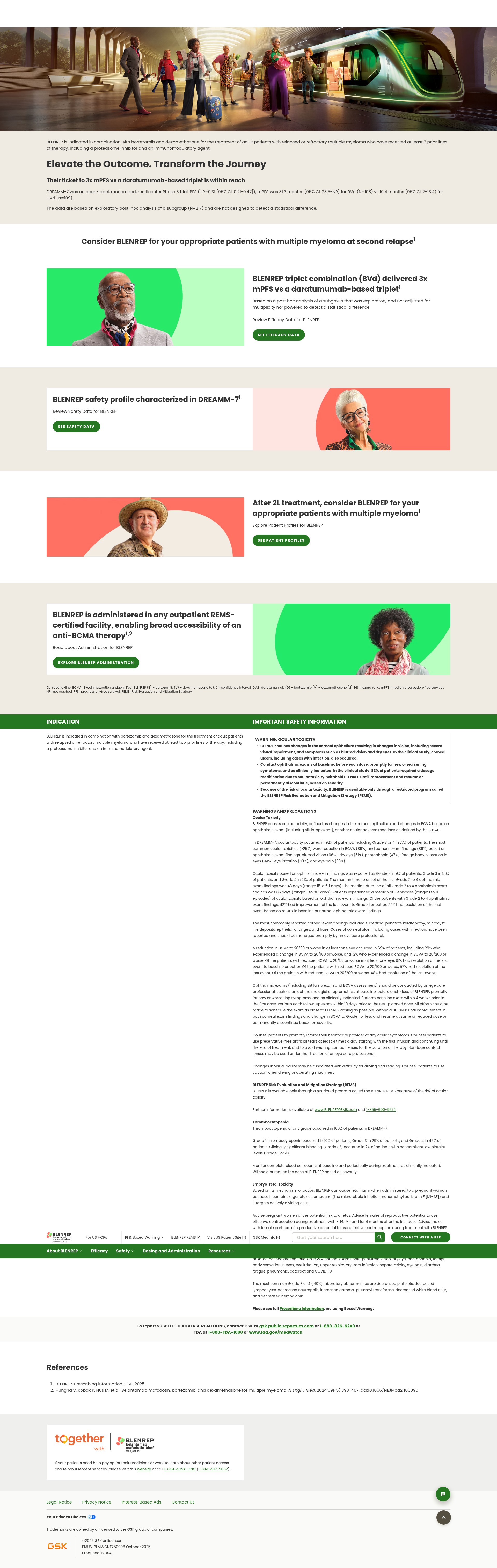 Screenshot of www.blenrephcp.com