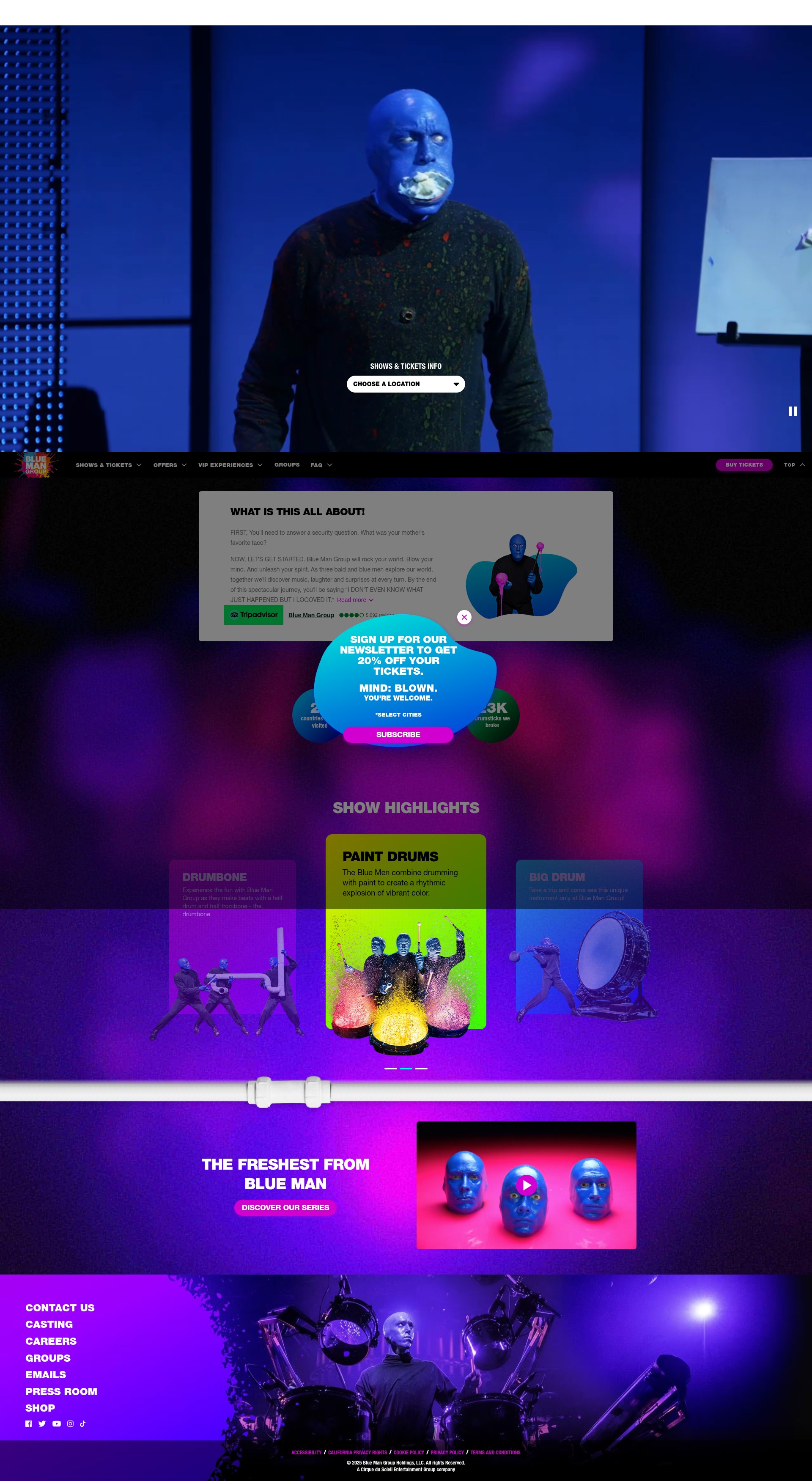 Screenshot of www.blueman.com