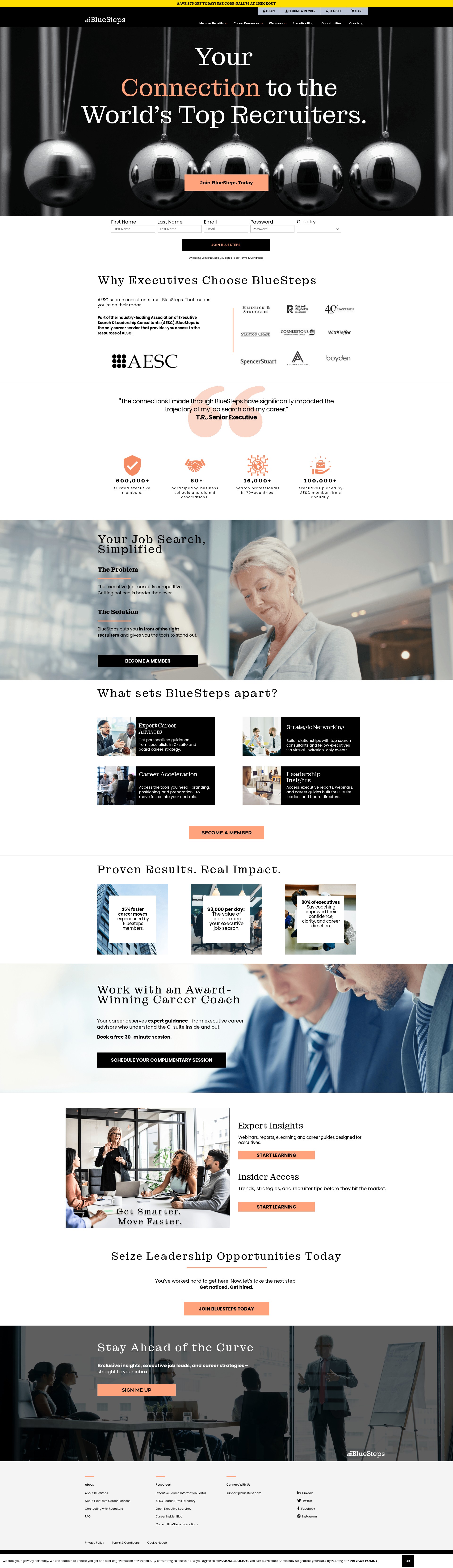 Screenshot of www.bluesteps.com