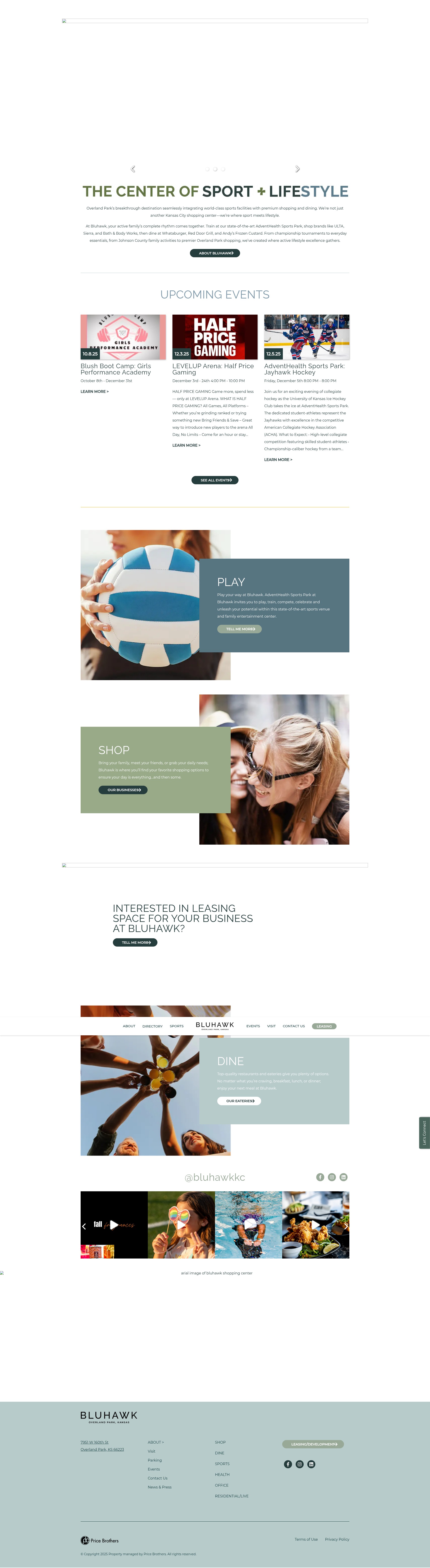 Screenshot of www.bluhawk.com