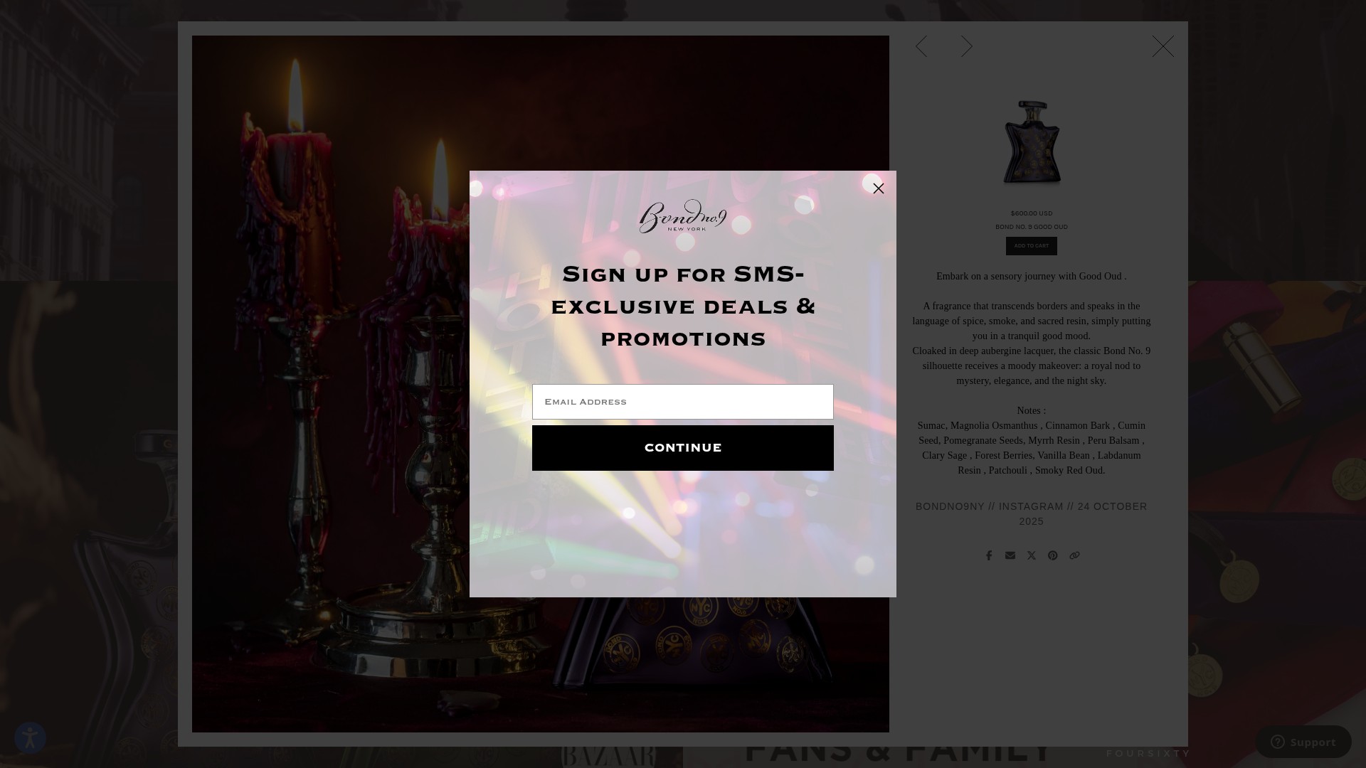 Screenshot of www.bondno9.com