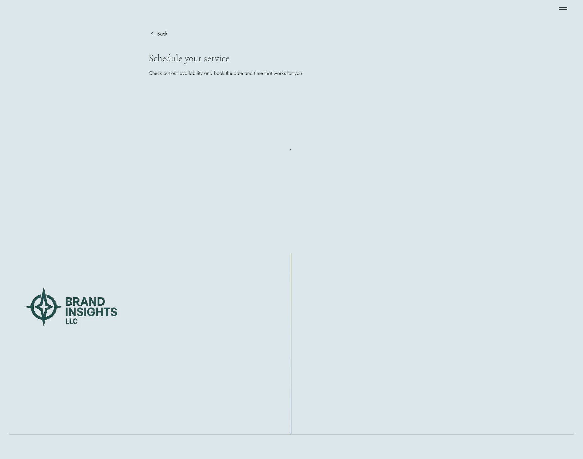 Screenshot of www.brandnsight.com
