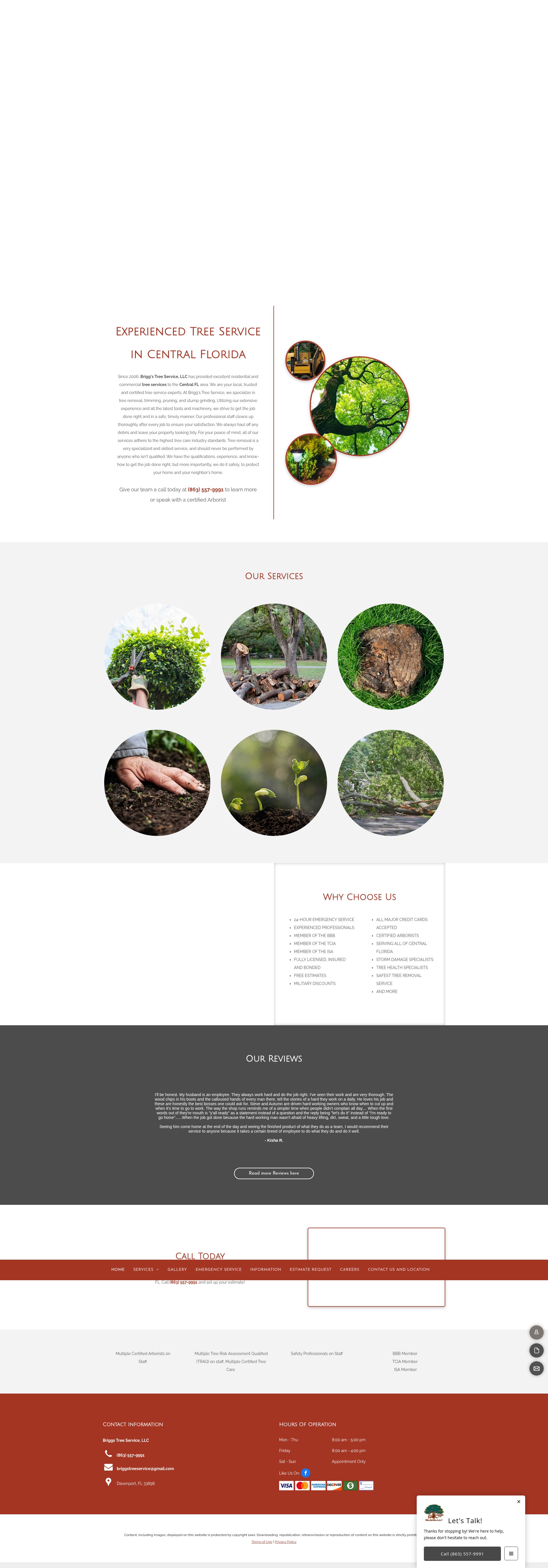 Screenshot of www.briggstreeexpertsus.com