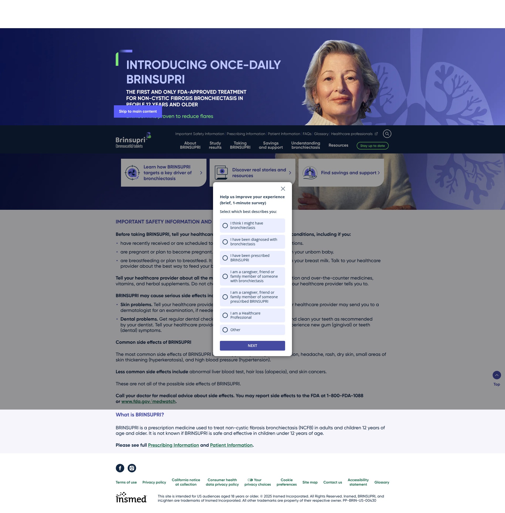 Screenshot of www.brinsupri.com