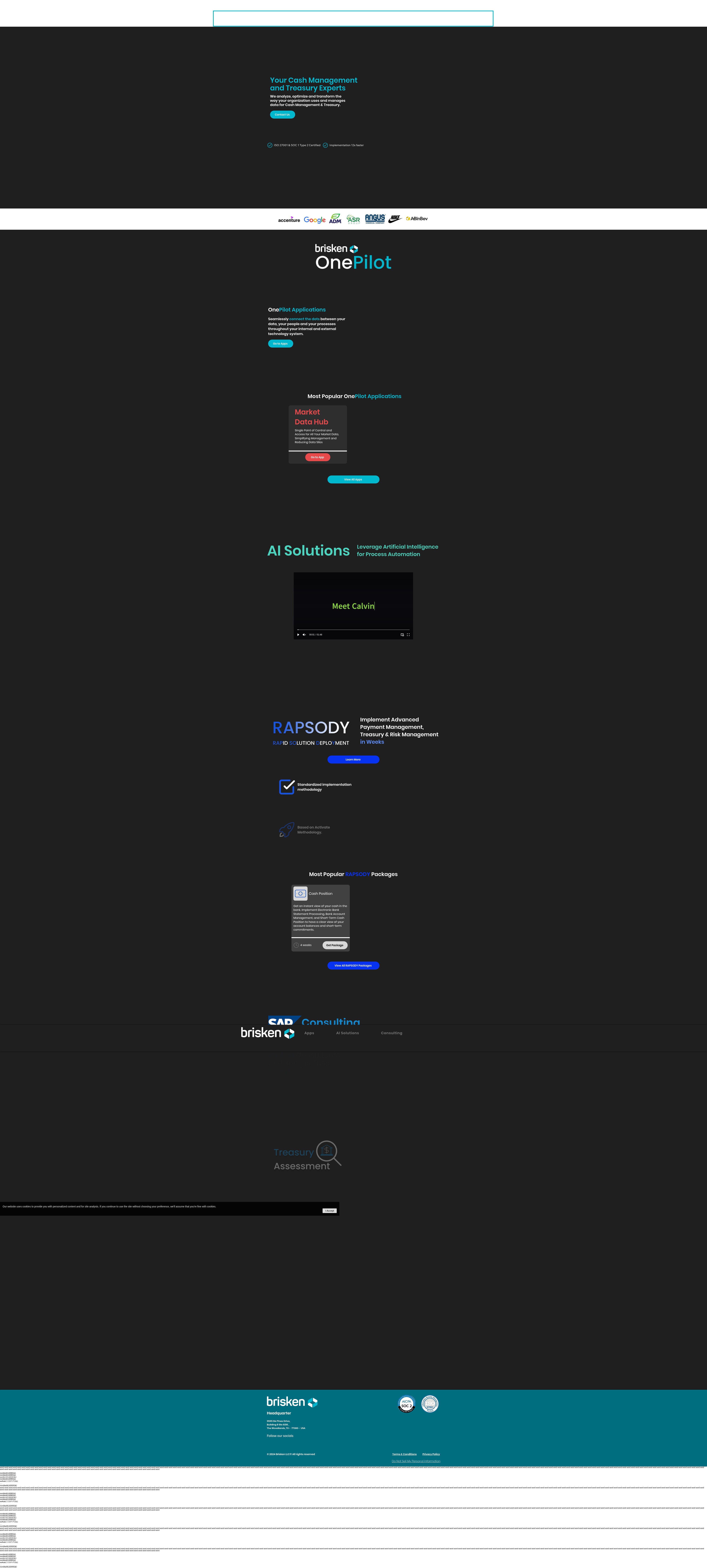 Screenshot of www.brisken.com