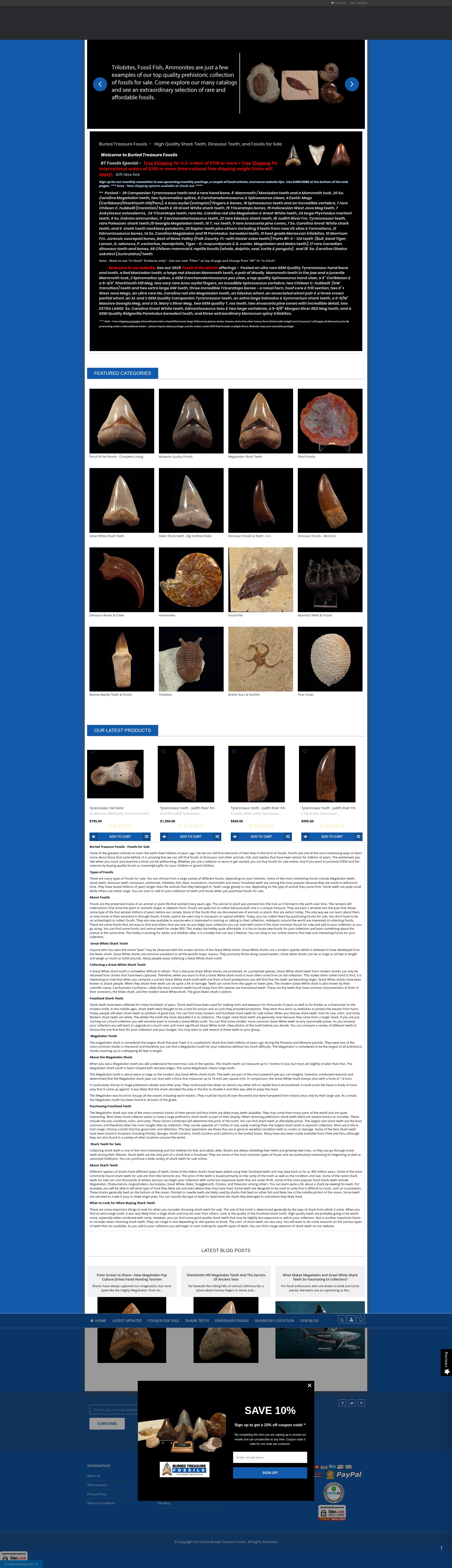Screenshot of www.buriedtreasurefossils.com