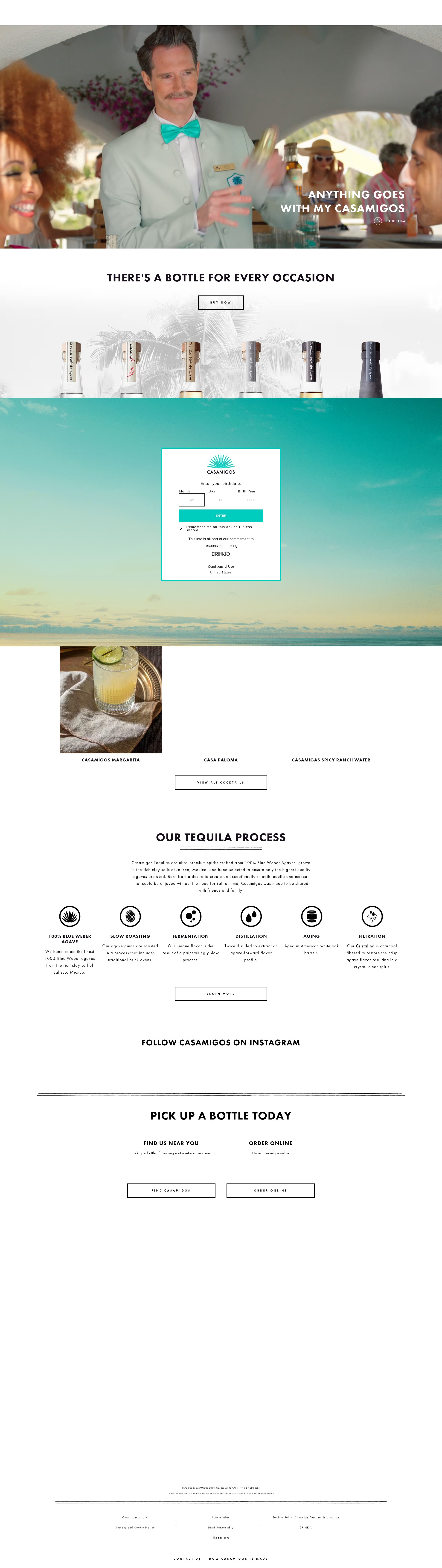 Screenshot of www.casamigos.com