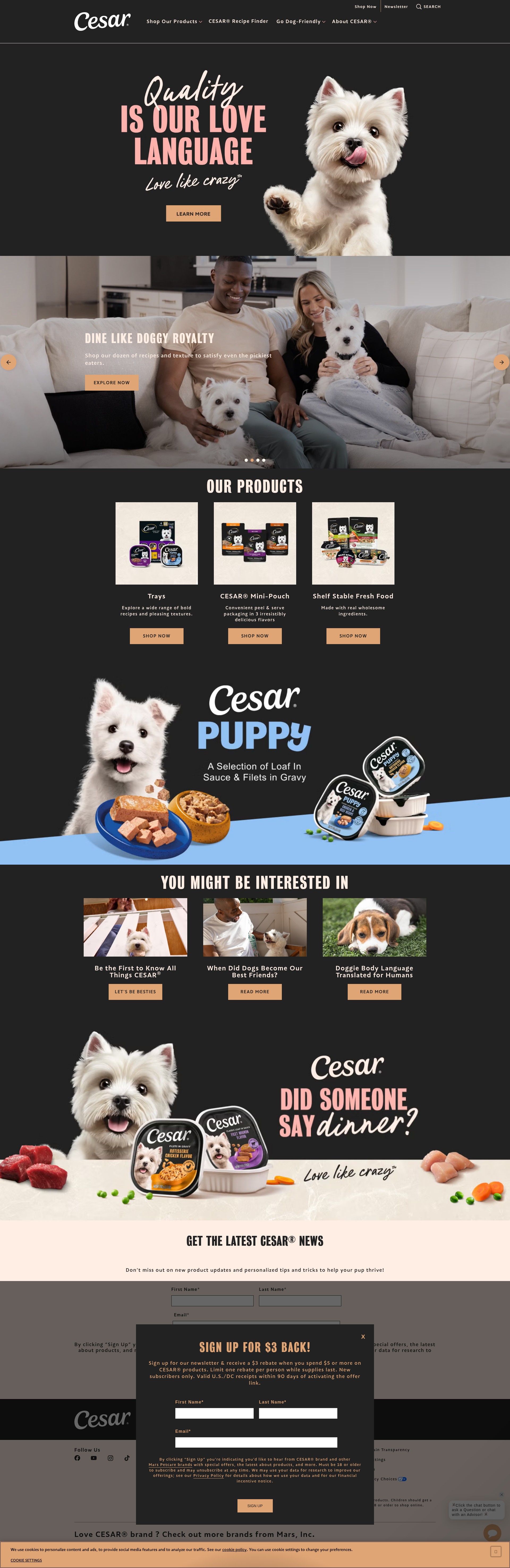 Screenshot of www.cesar.com