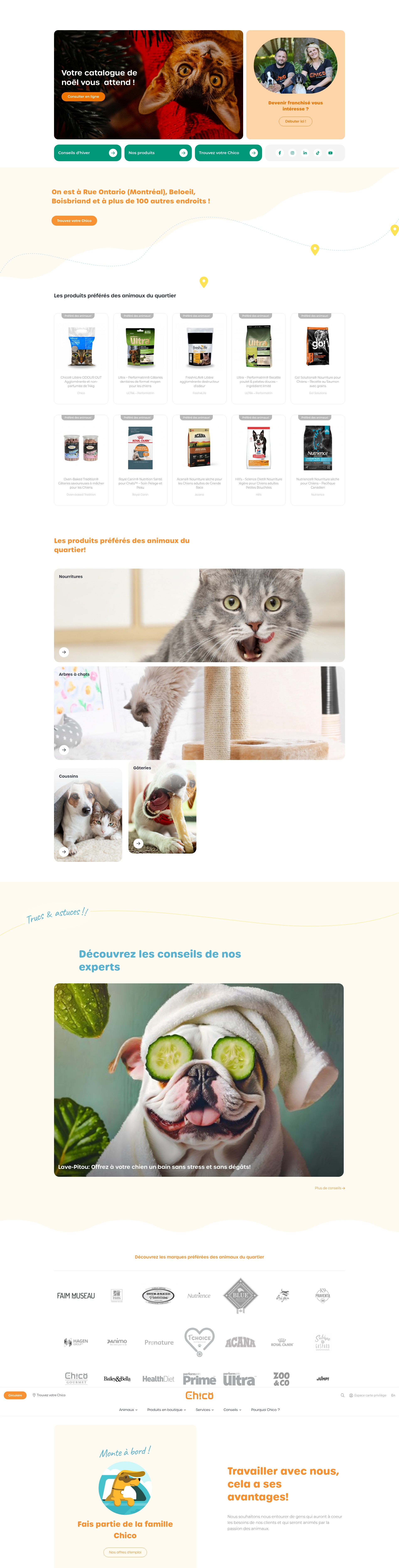 Screenshot of www.chico.ca