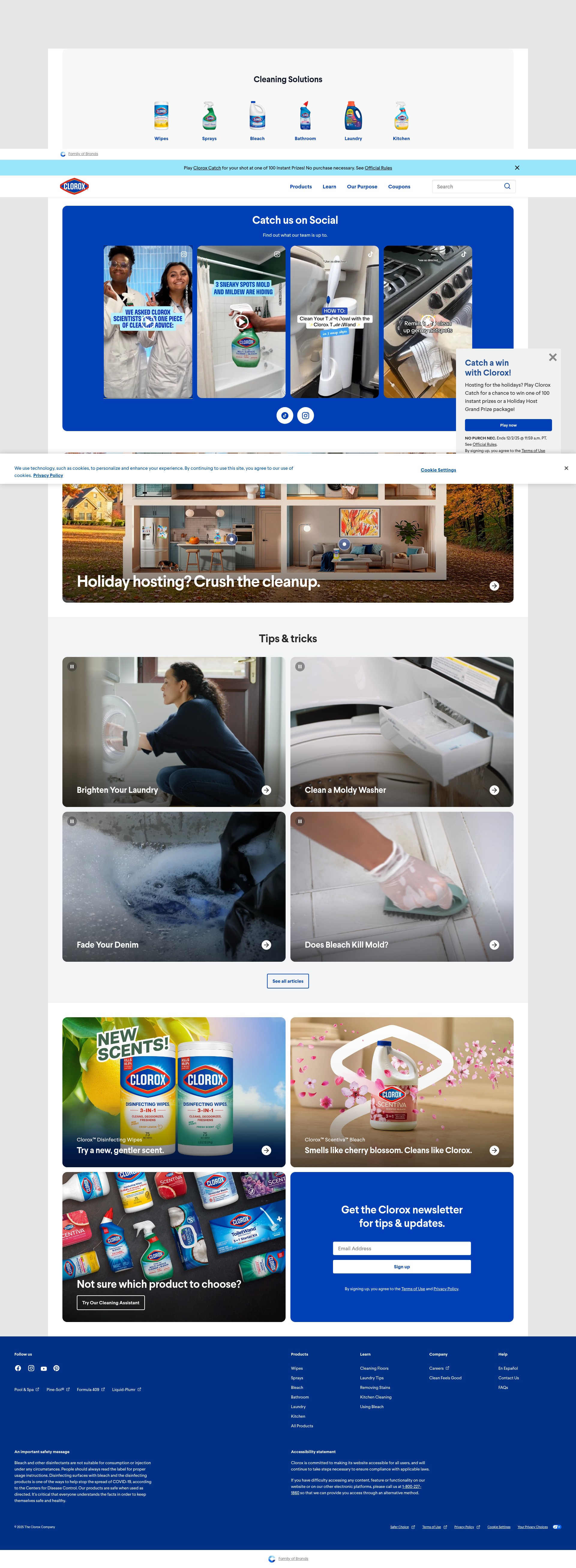 Screenshot of www.clorox.com