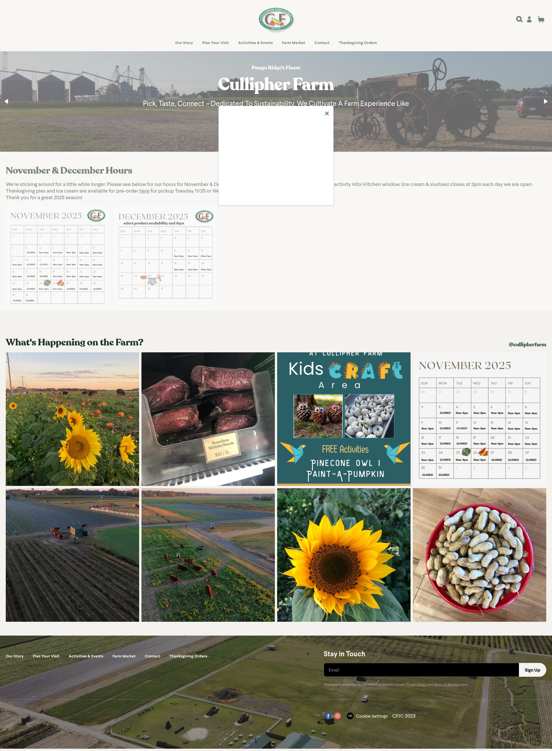 Screenshot of www.cullipherfarm.com