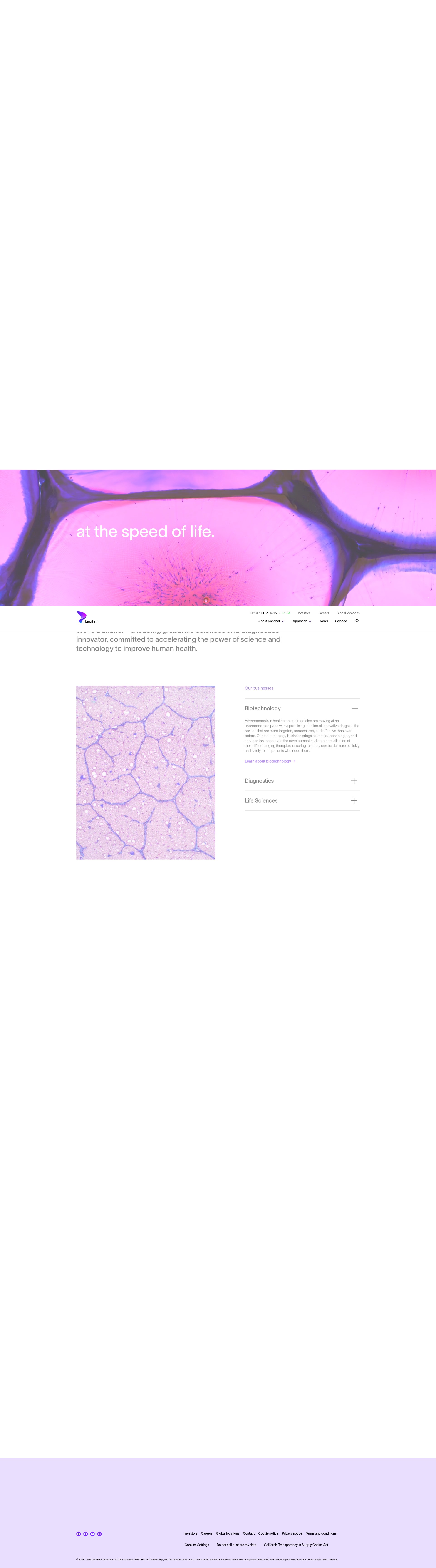 Screenshot of www.danaher.com
