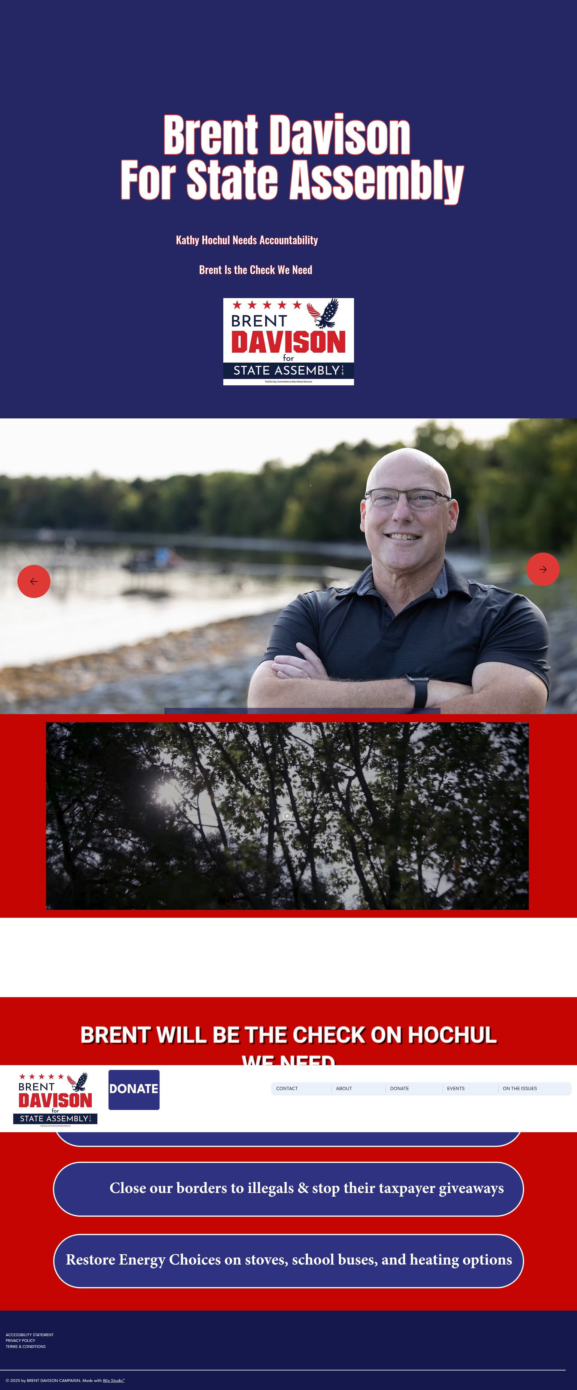 Screenshot of www.davisonforassembly.com