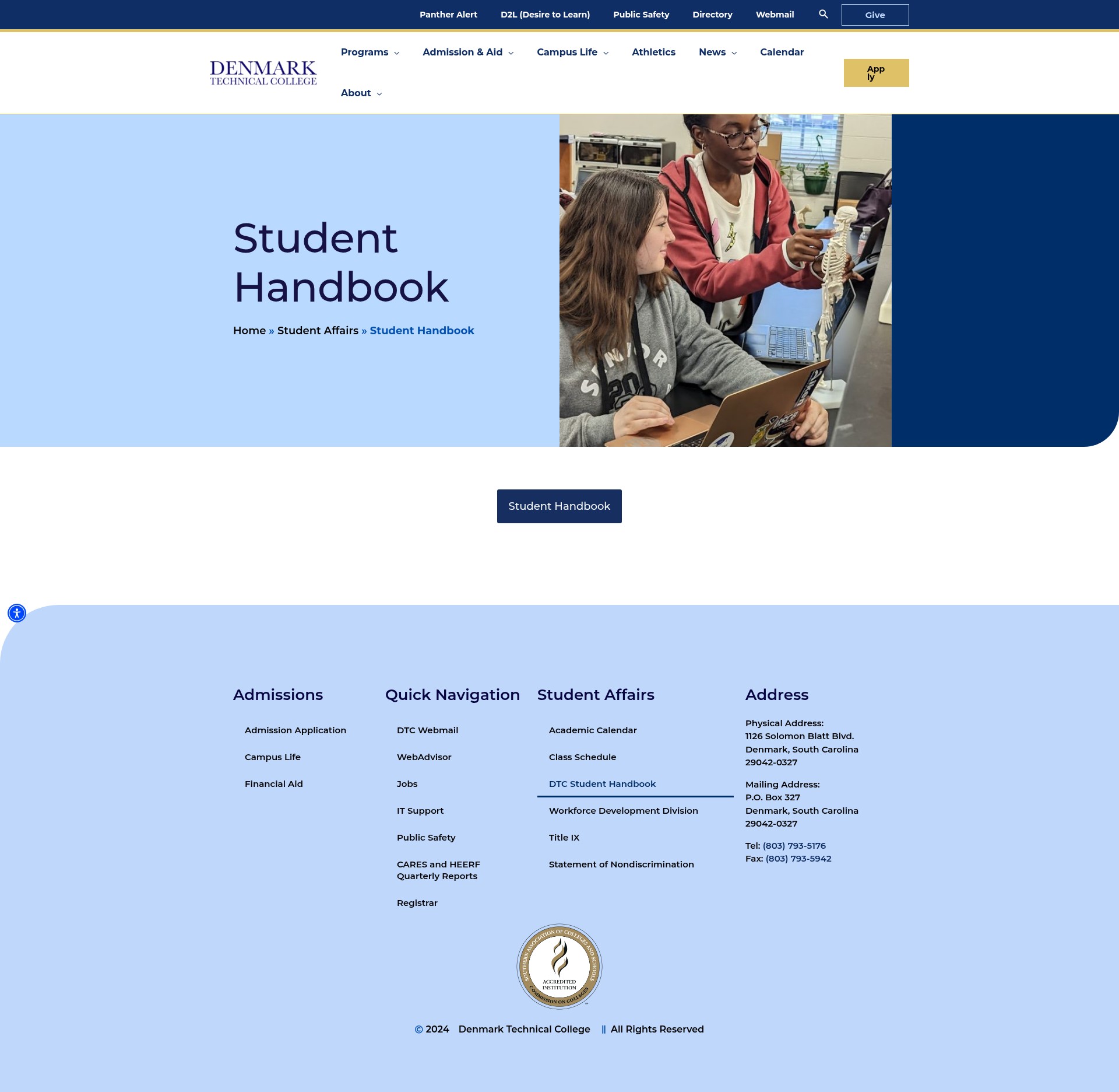 Screenshot of www.denmarktech.edu