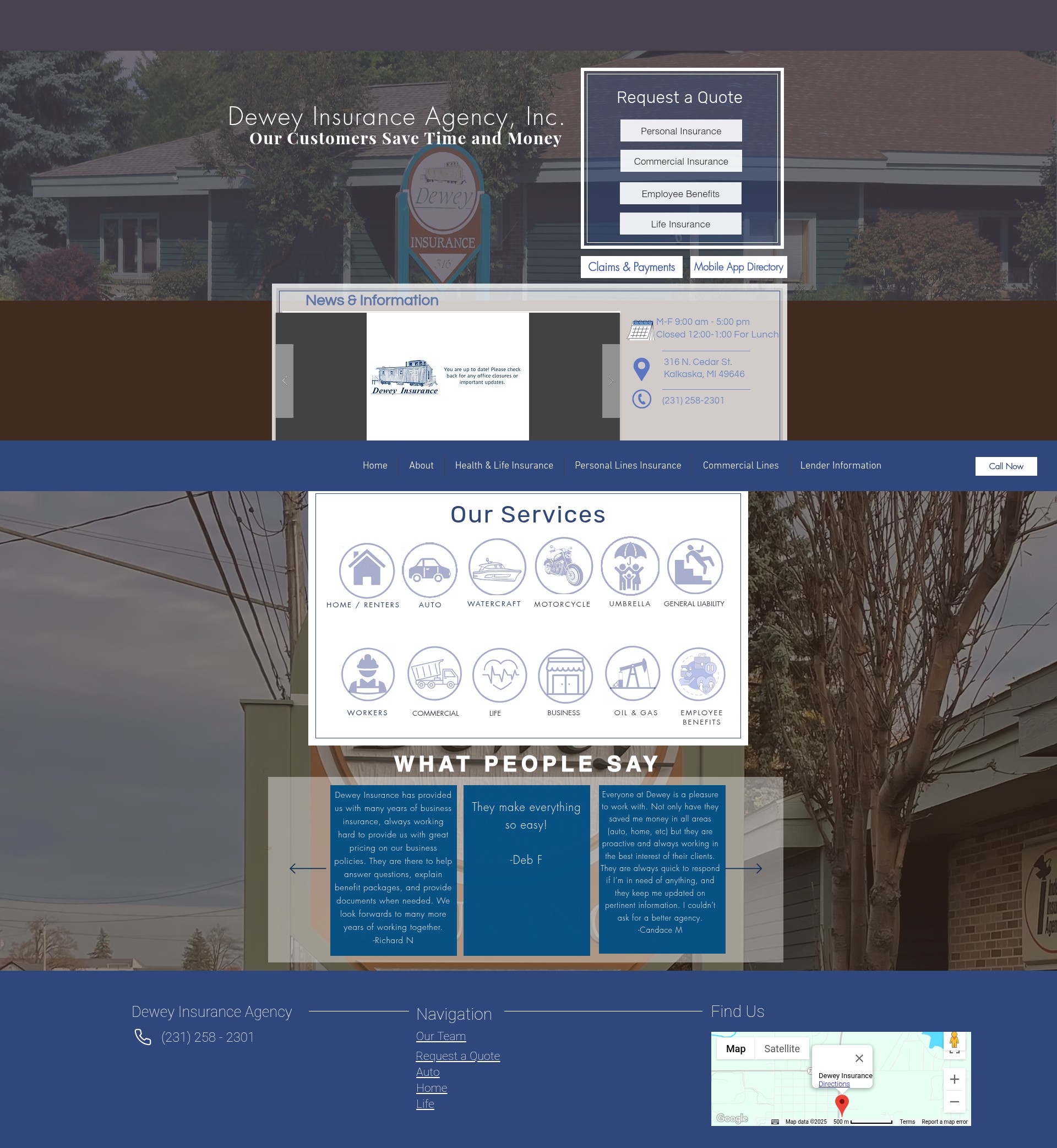 Screenshot of www.deweyins.com