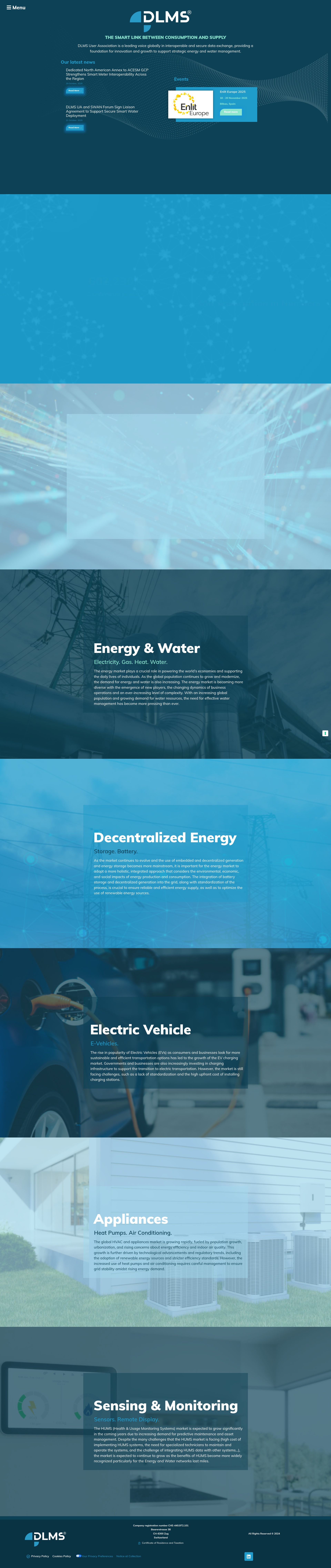 Screenshot of www.dlms.com