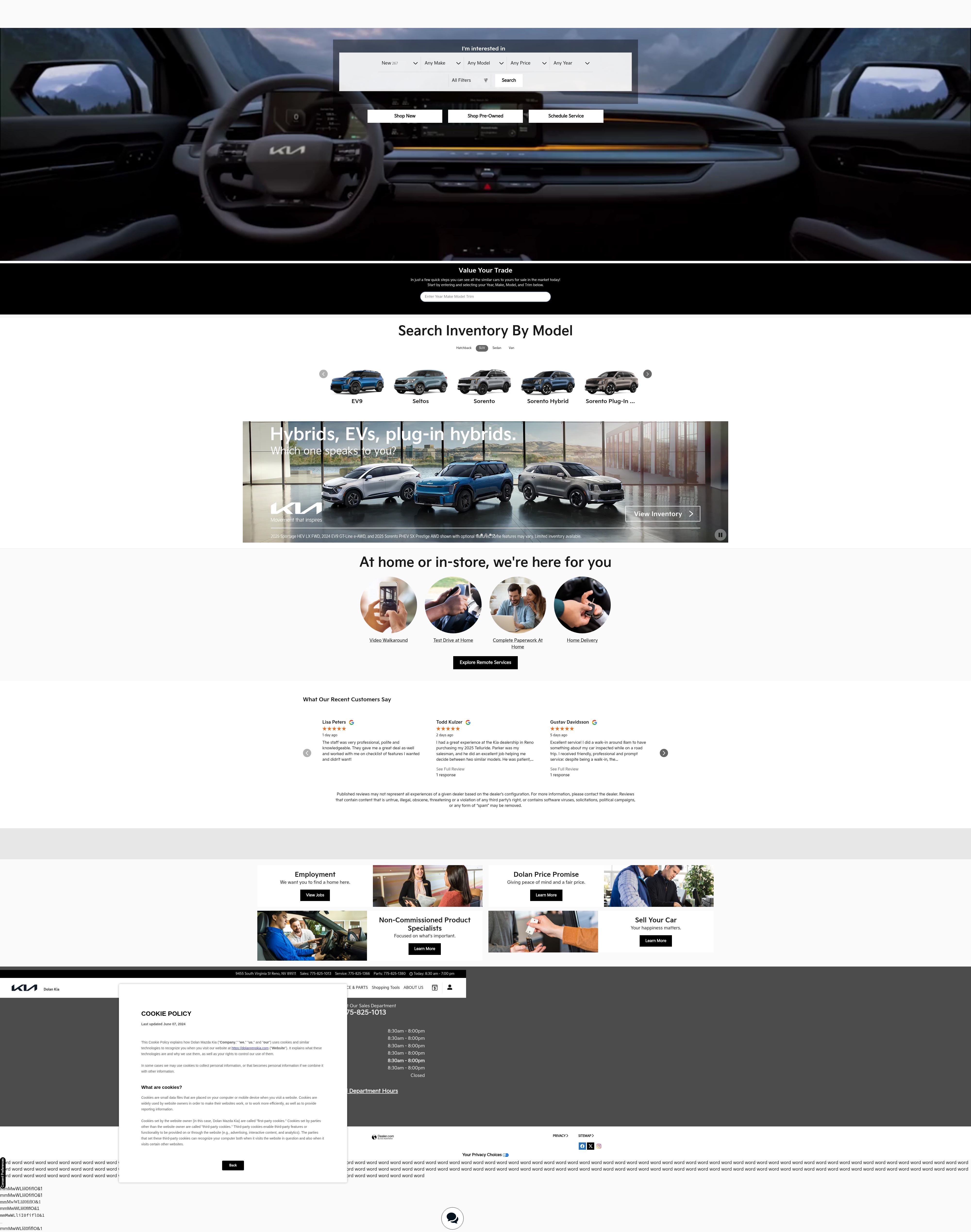 Screenshot of www.dolanrenokia.com