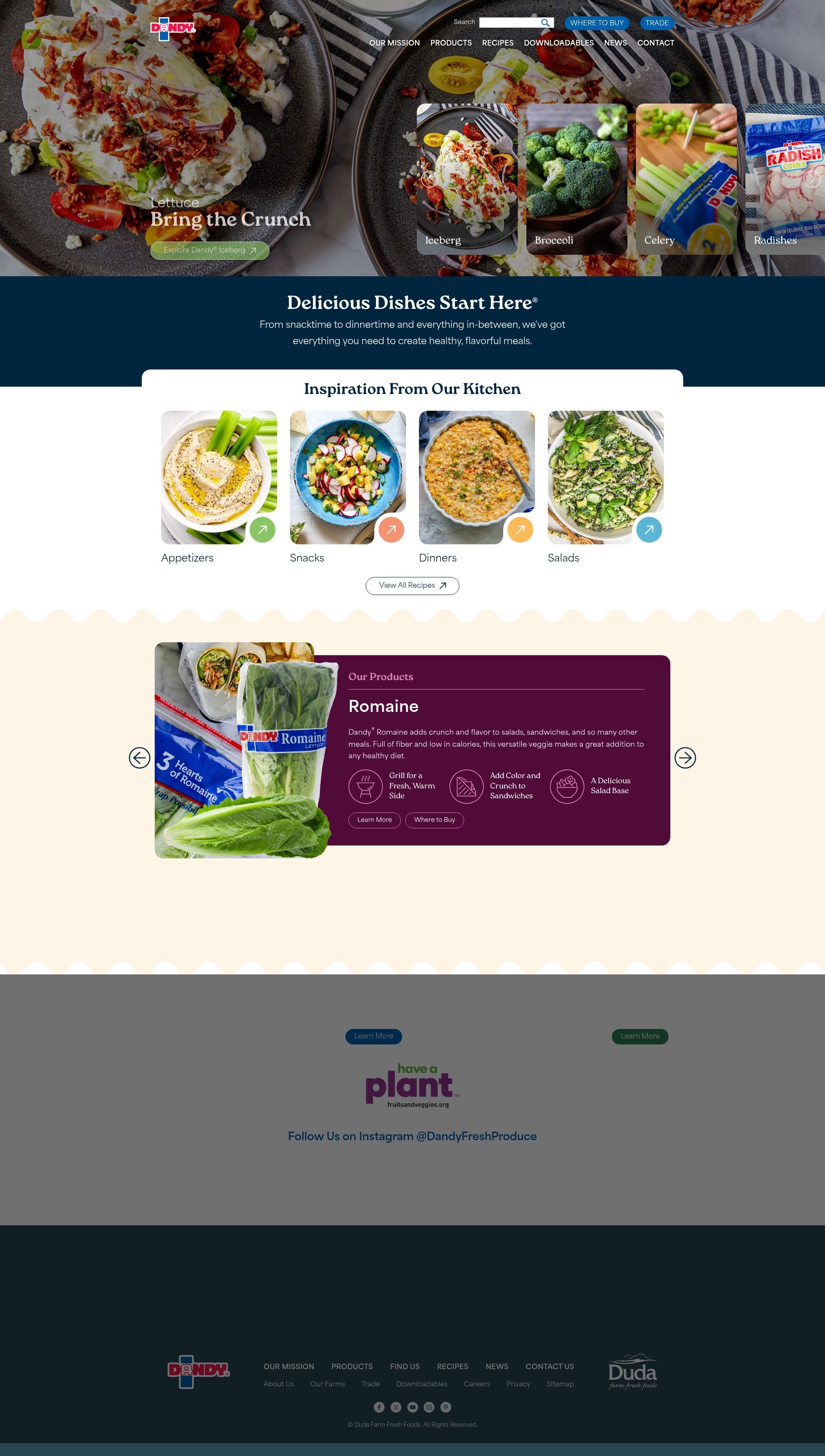 Screenshot of www.dudafresh.com