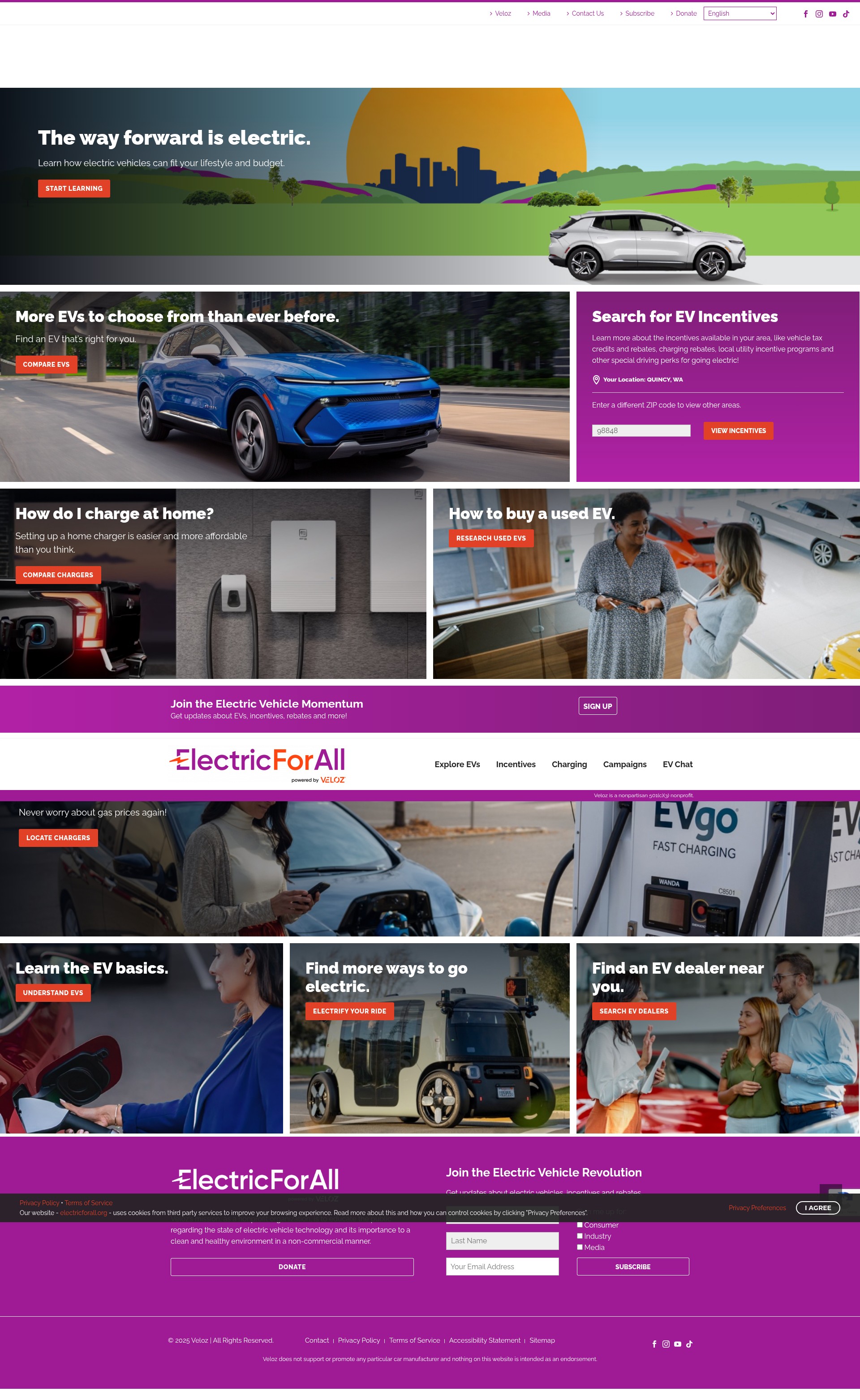 Screenshot of www.electricforall.org
