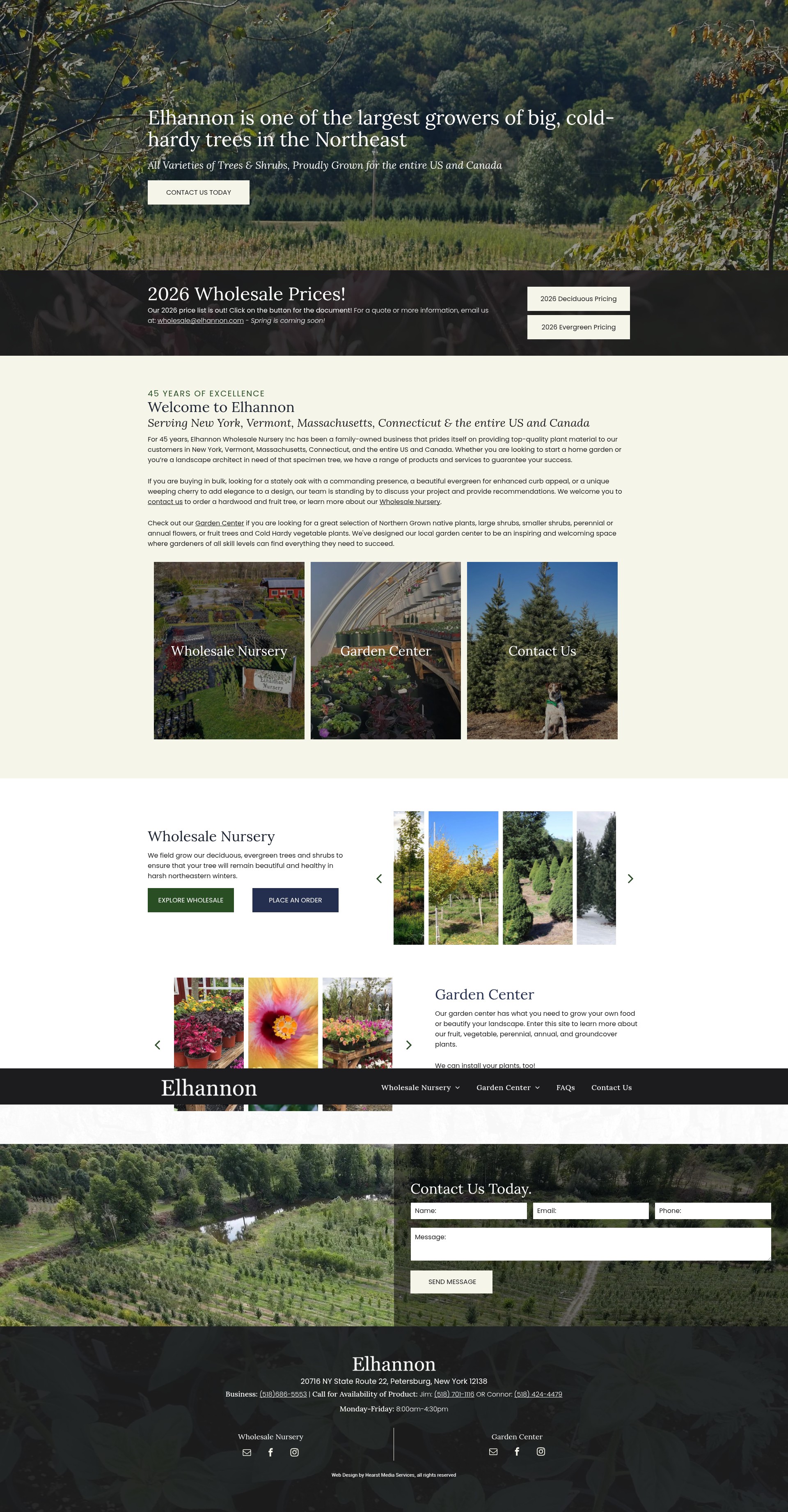 Screenshot of www.elhannon.com