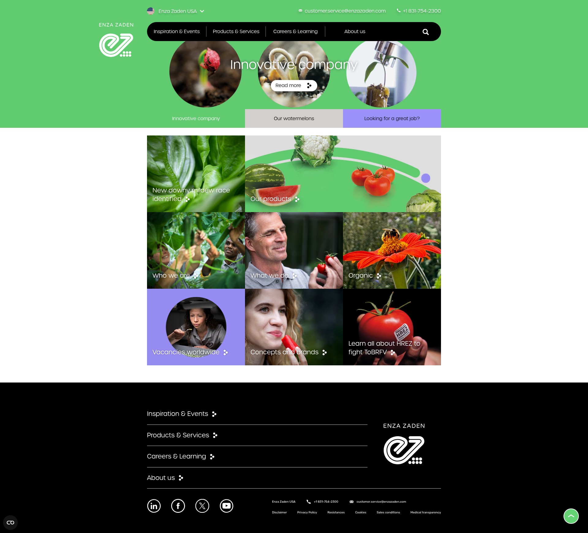 Screenshot of www.enzazaden.com