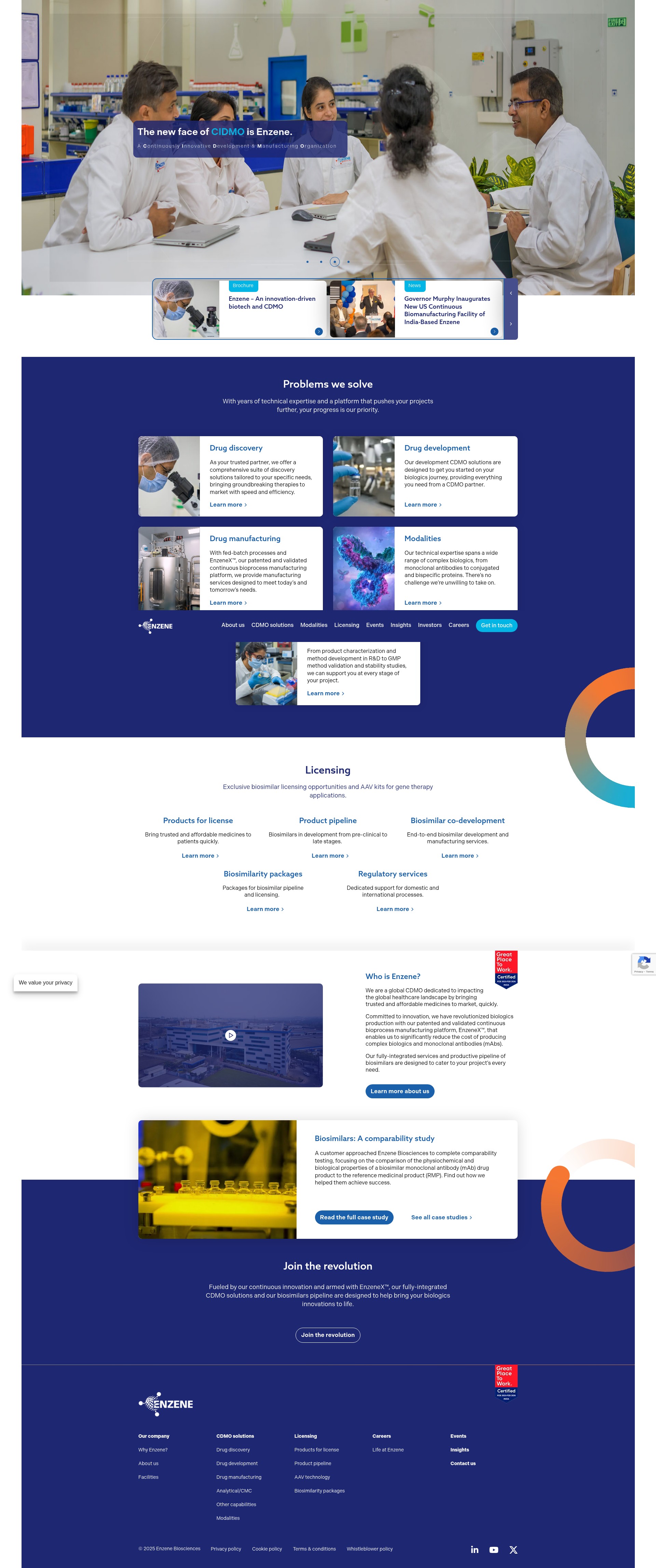 Screenshot of www.enzene.com