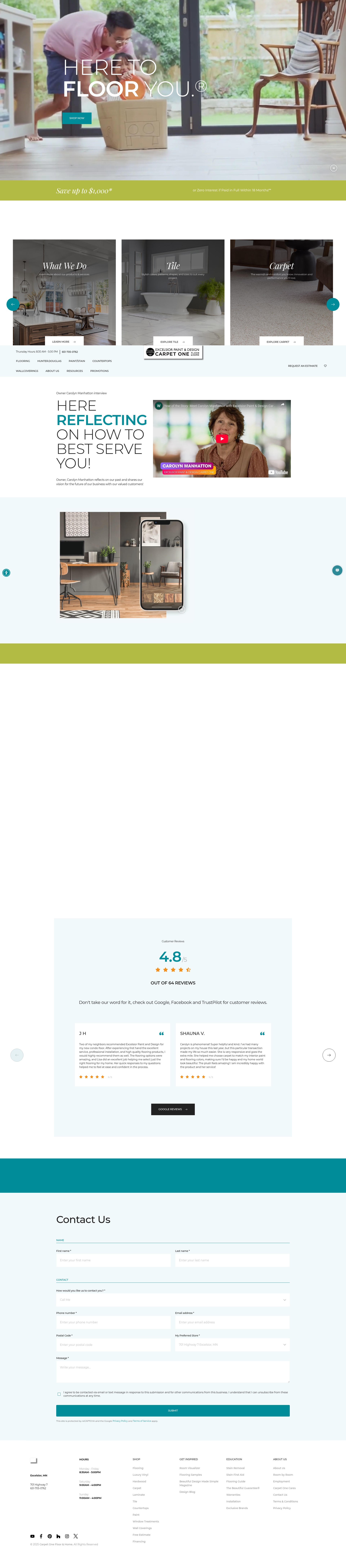 Screenshot of www.excelsiorpaintanddesigncarpetone.com